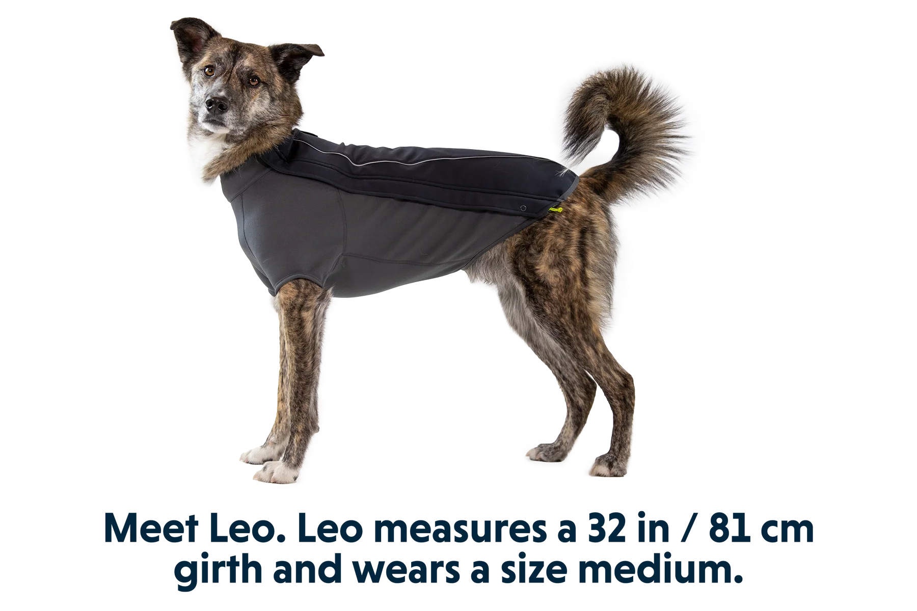 Cloud Chaser™ Hundejacke - Image 15