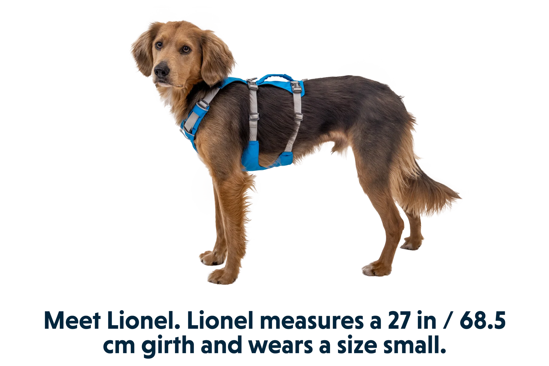 Flagline™ Hundegeschirr Mit Griff - Image 14