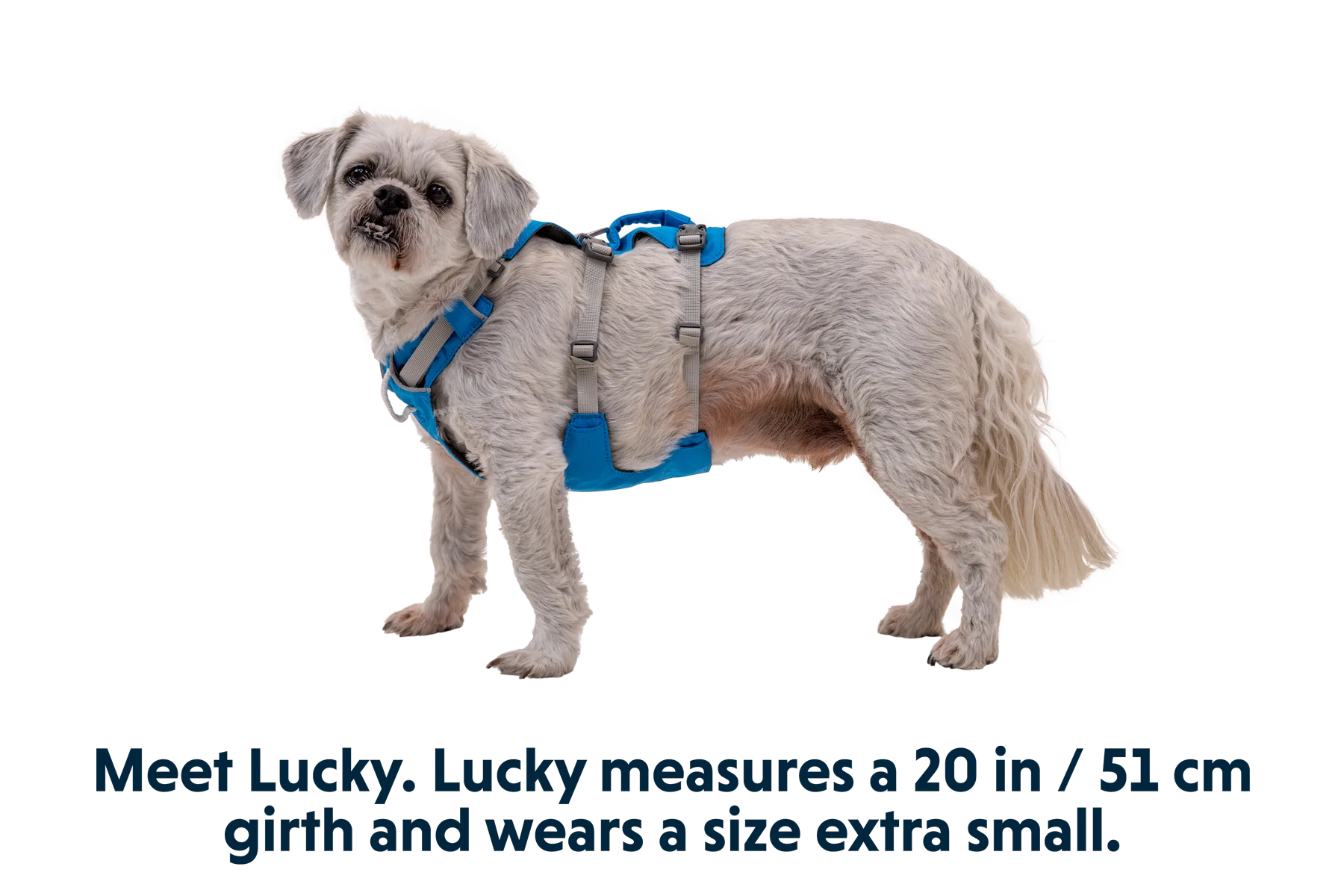 Flagline™ Hundegeschirr Mit Griff - Image 24