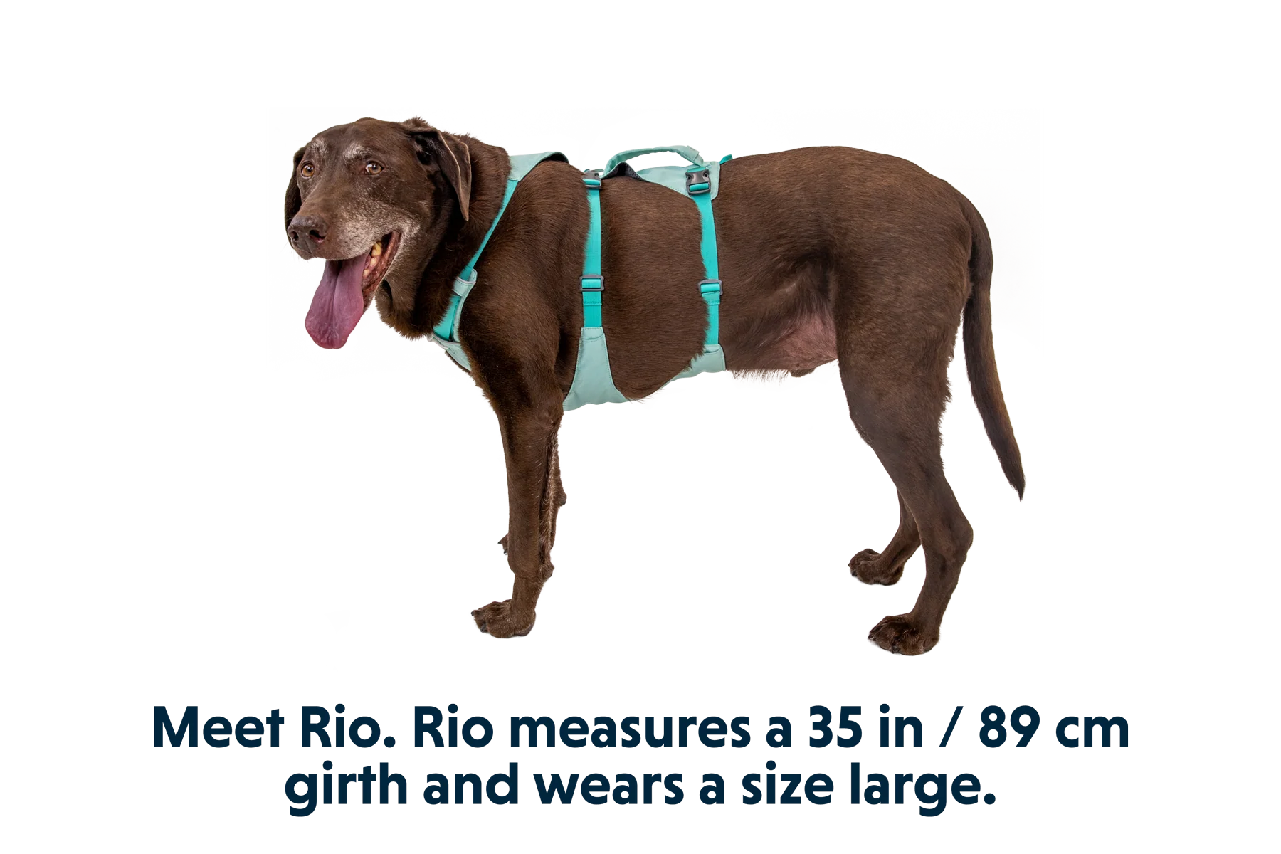 Flagline™ Hundegeschirr Mit Griff - Image 26