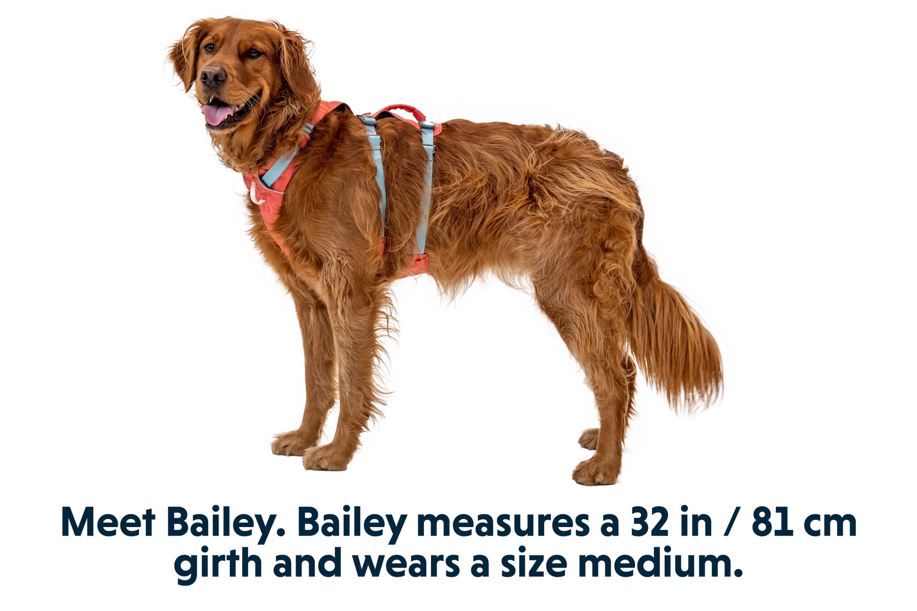 Flagline™ Hundegeschirr Mit Griff - Image 37