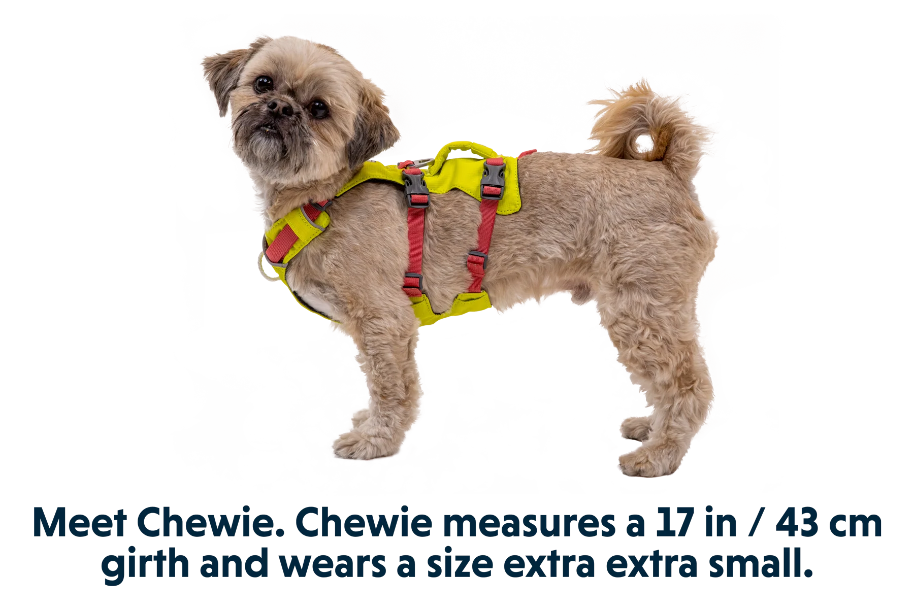 Flagline™ Hundegeschirr Mit Griff - Image 4