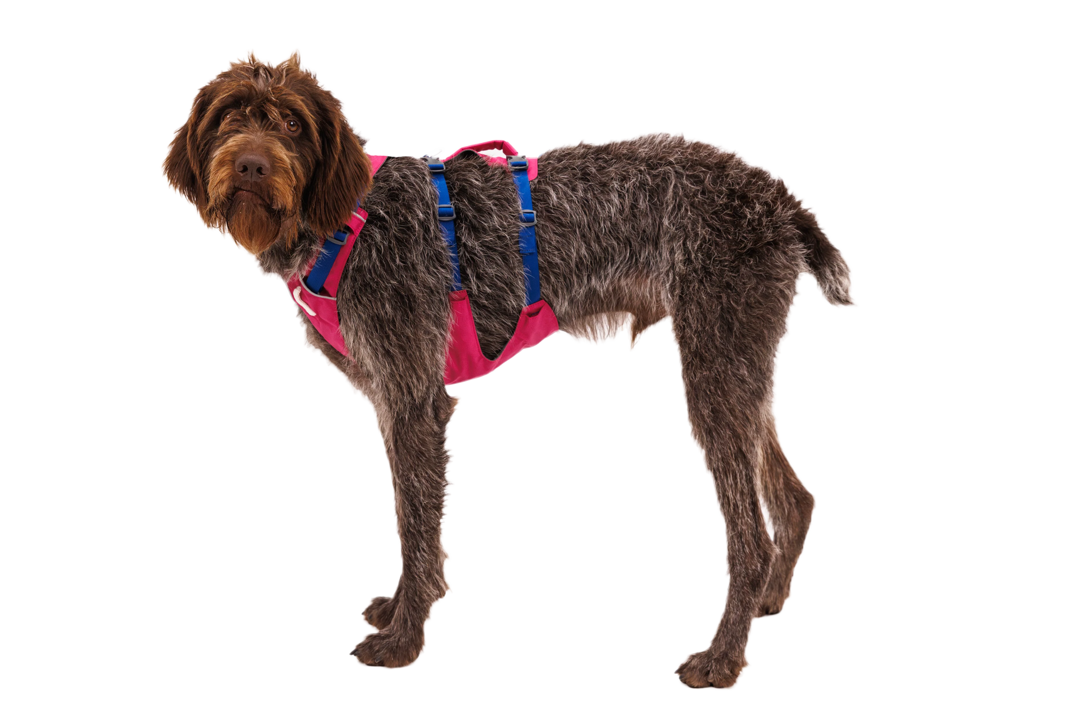 Flagline™ Hundegeschirr Mit Griff - Image 48