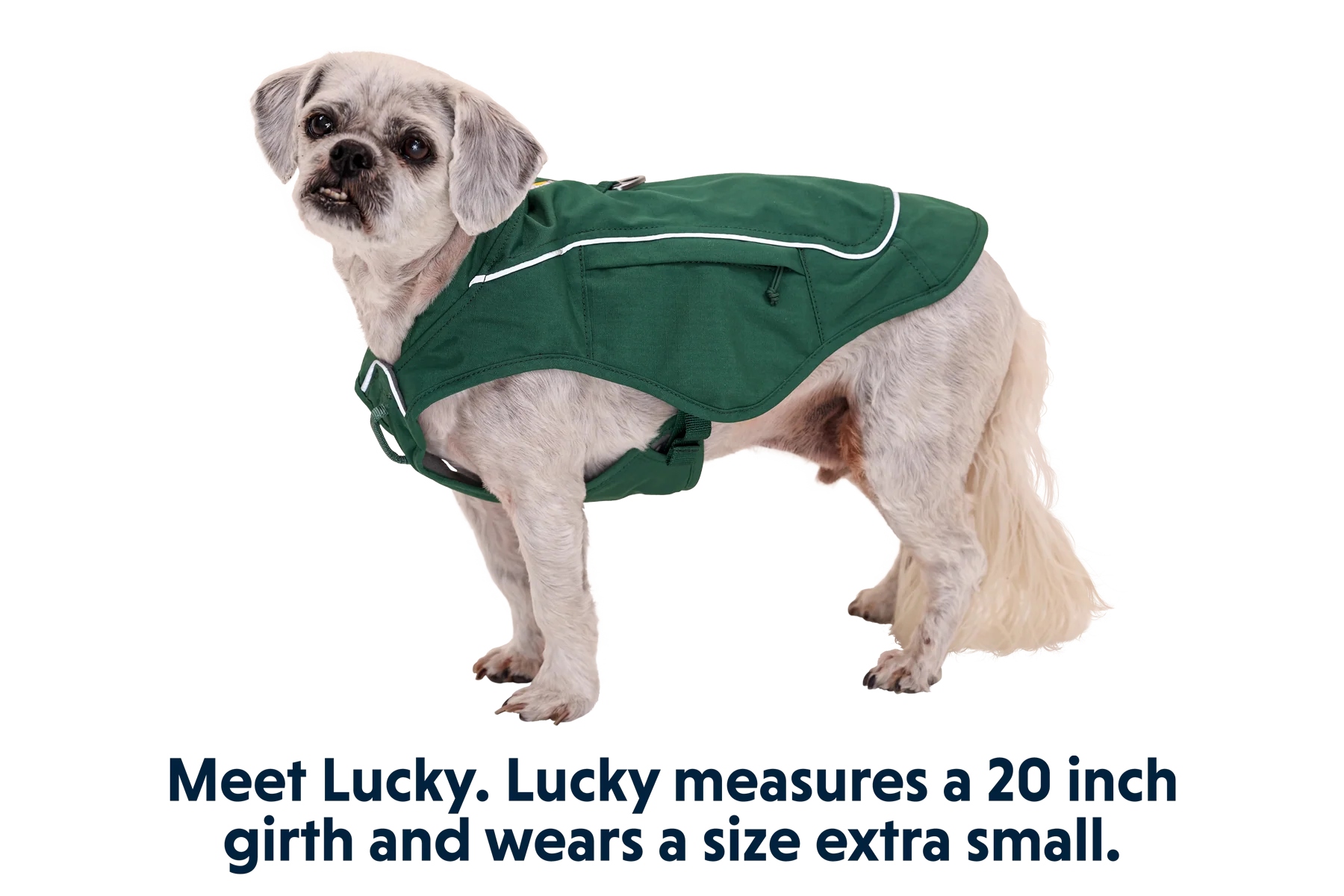 Overcoat Fuse™ Hundejacke - Image 18