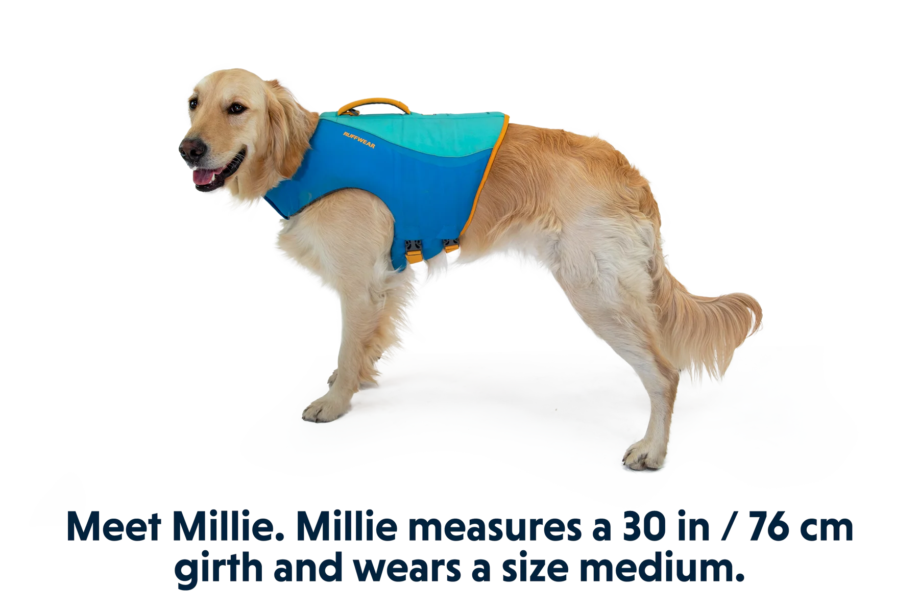 Float Coat™ Schwimmweste Für Hunde - Image 13