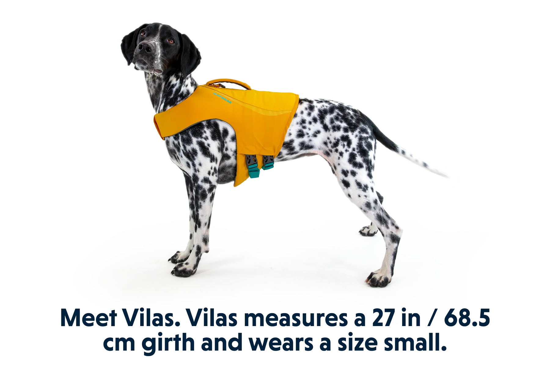 Float Coat™ Schwimmweste Für Hunde - Image 32