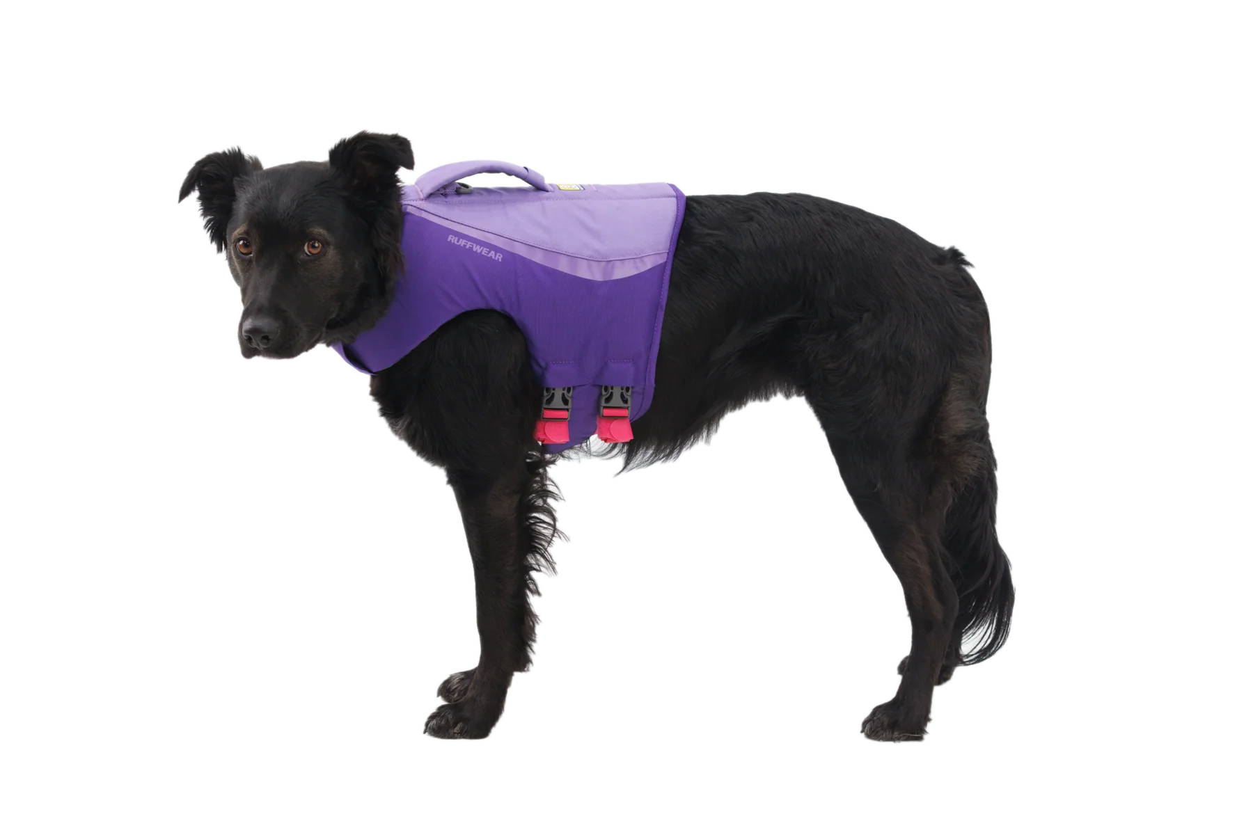 Float Coat™ Schwimmweste Für Hunde - Image 7
