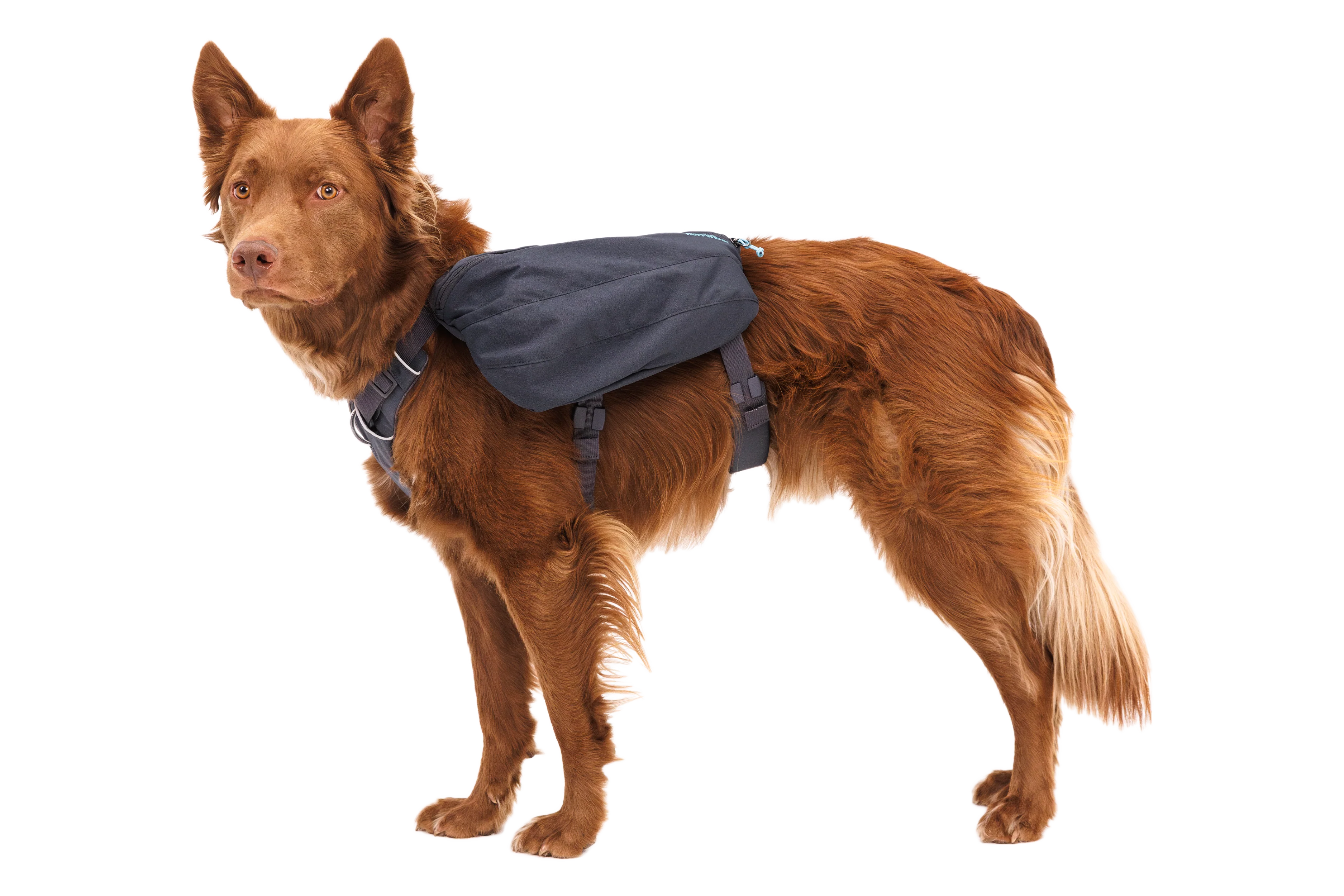 Front Range® Tagesrucksack - Image 3