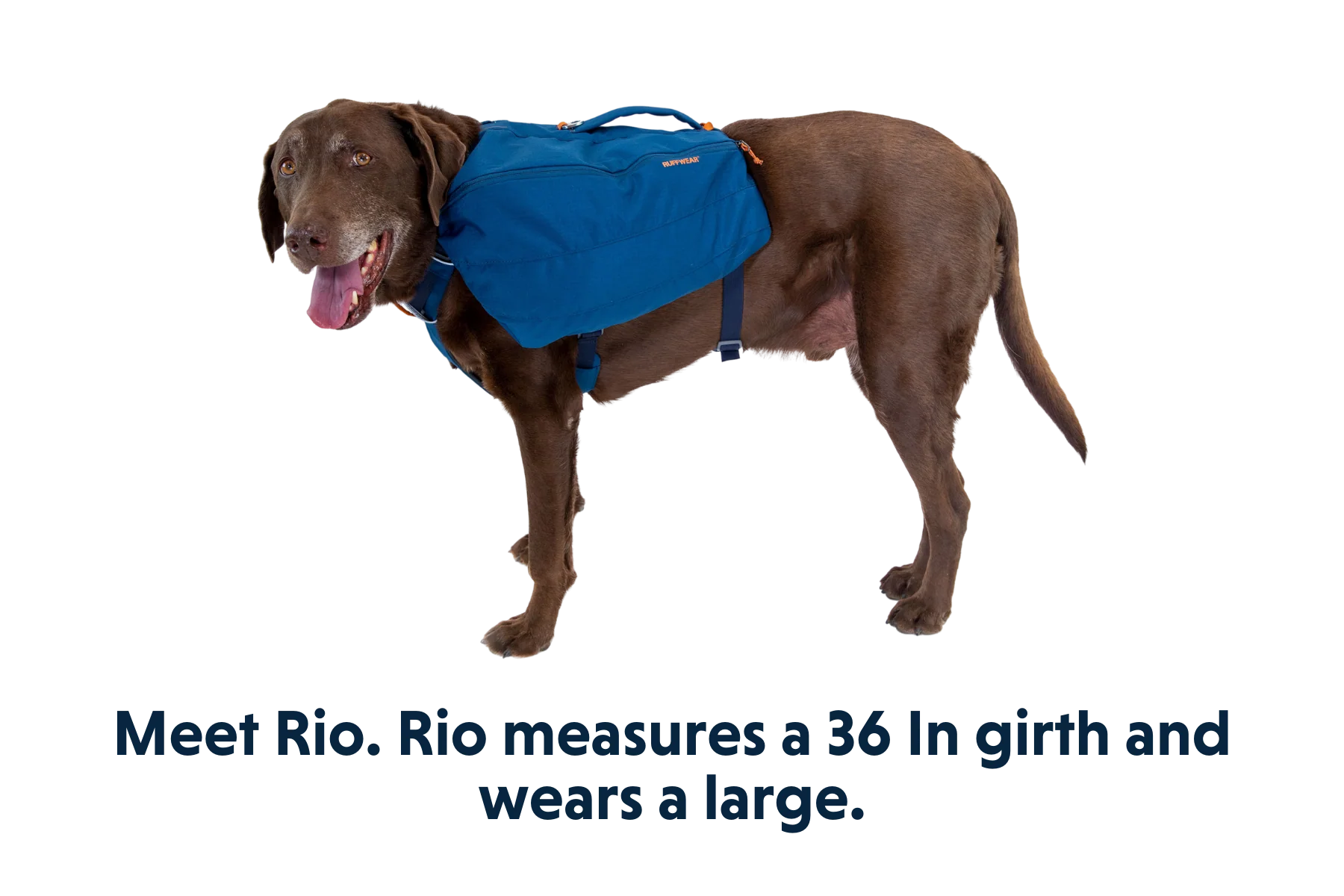 Front Range® Tagesrucksack - Image 23