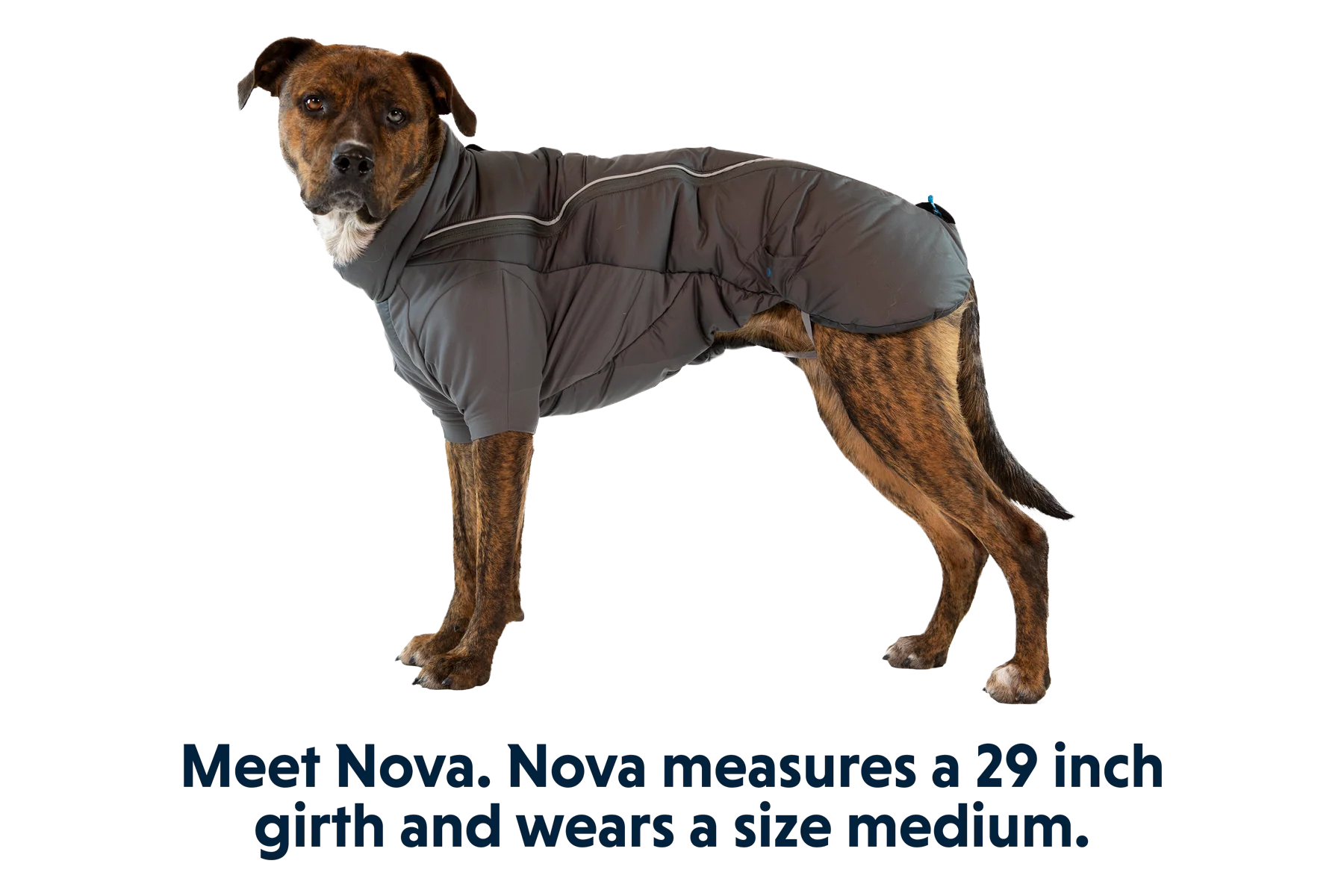 Furness™ Hundejacke - Image 18