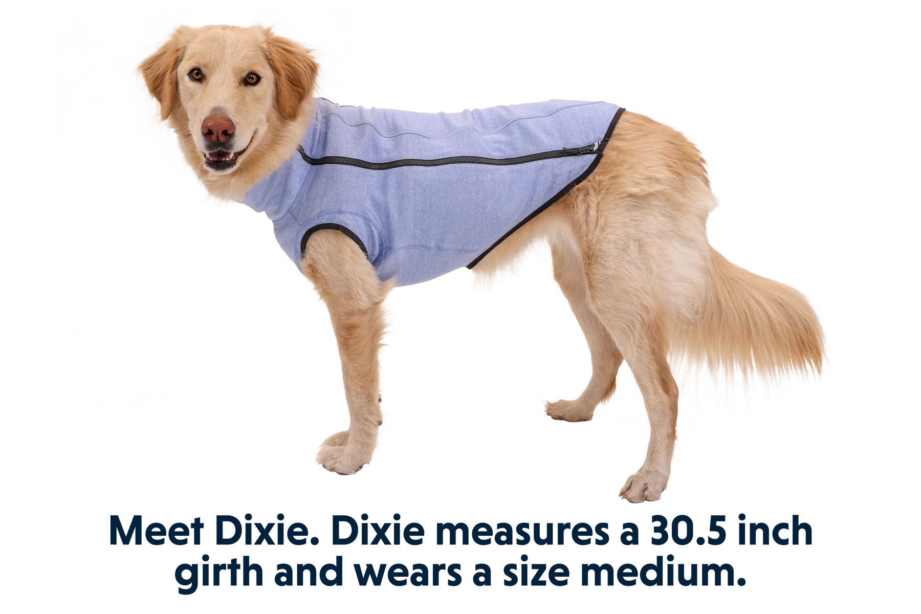 Hemp Hound™ Hundesweater  - Image 13