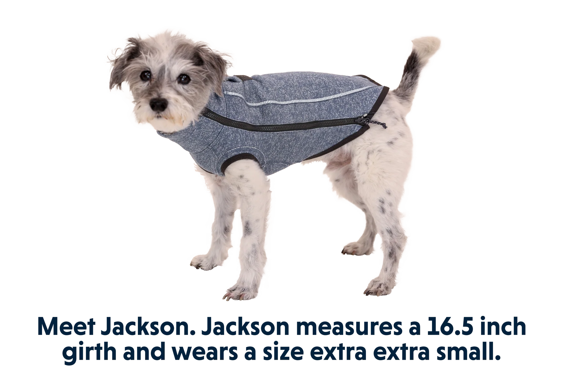 Hemp Hound™ Hundesweater  - Image 19