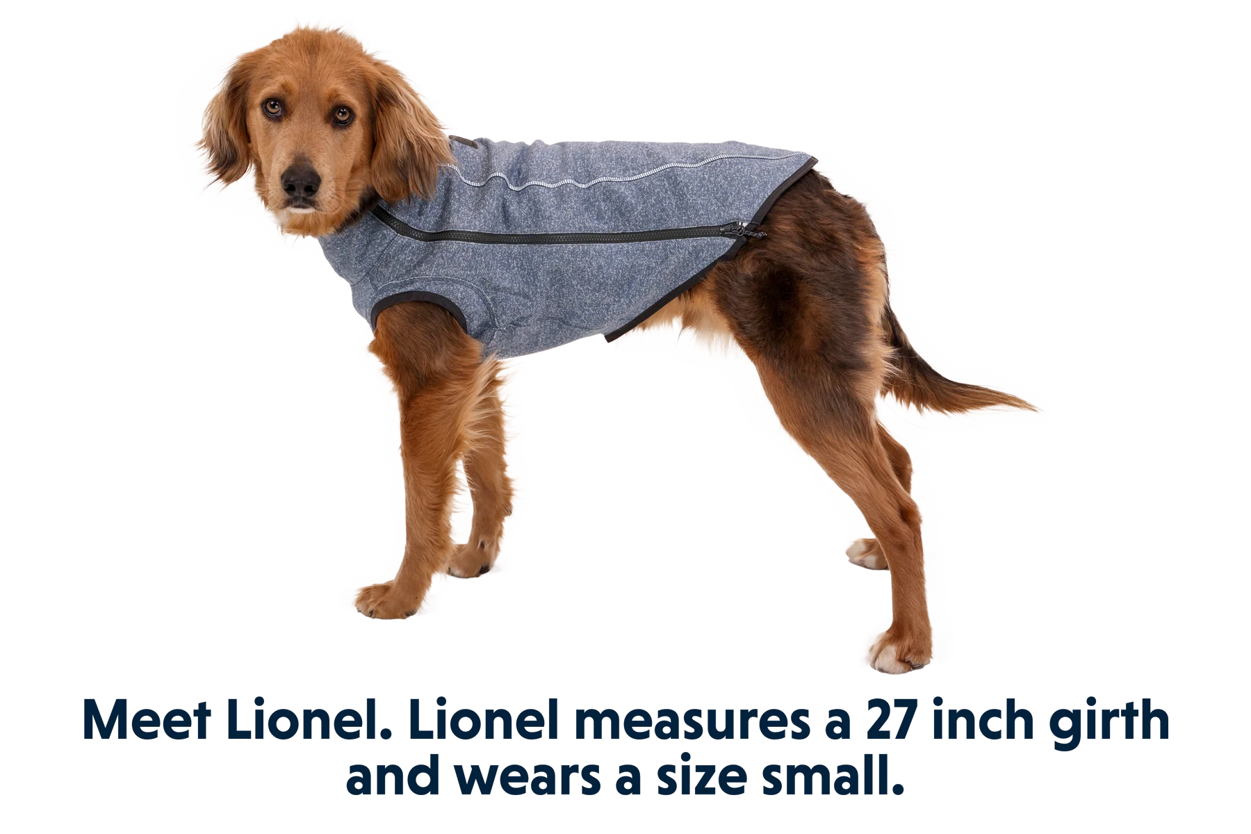 Hemp Hound™ Hundesweater  - Image 20