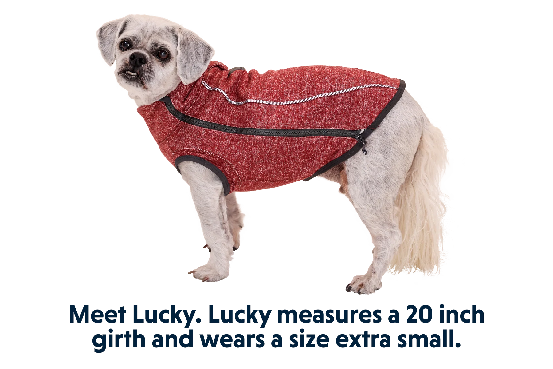 Hemp Hound™ Hundesweater  - Image 6