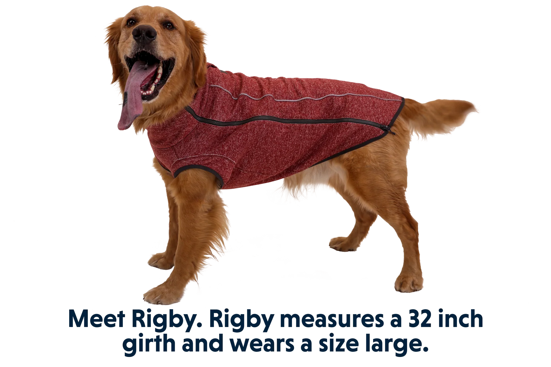 Hemp Hound™ Hundesweater  - Image 7