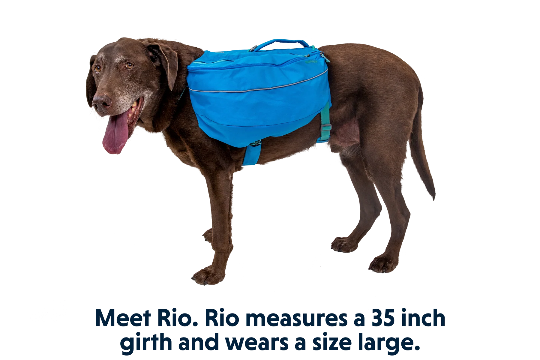 Approach™ Hunderucksack - Image 13