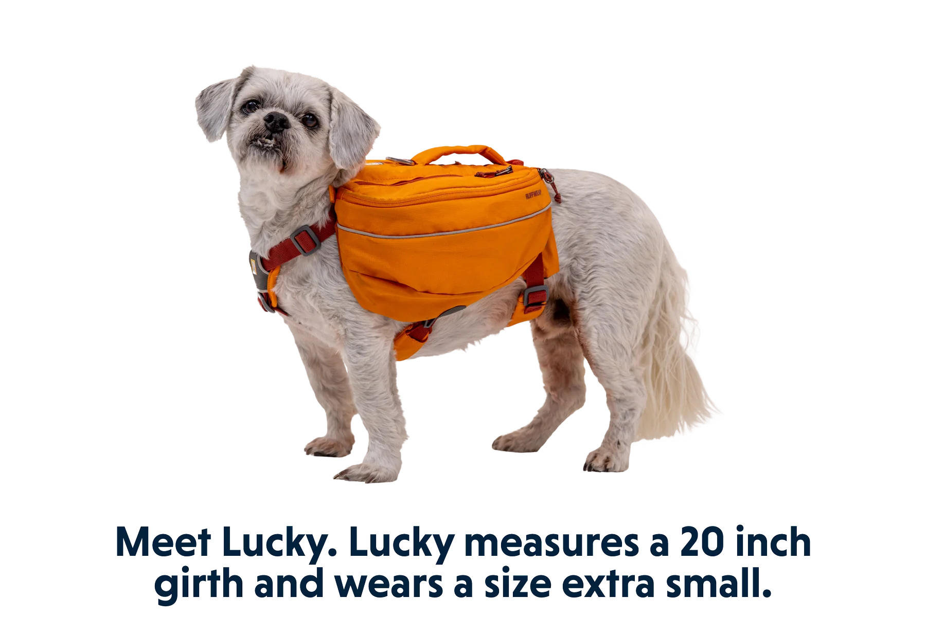 Approach™ Hunderucksack - Image 24