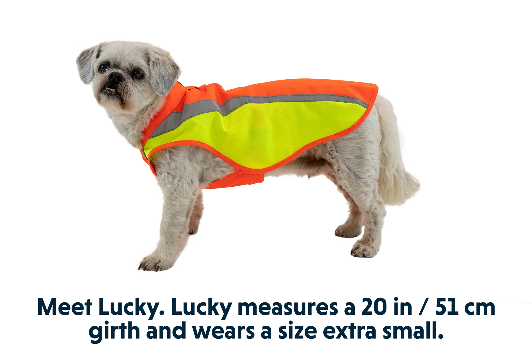 Lumenglow™ High-Vis Hundejacke - Image 10
