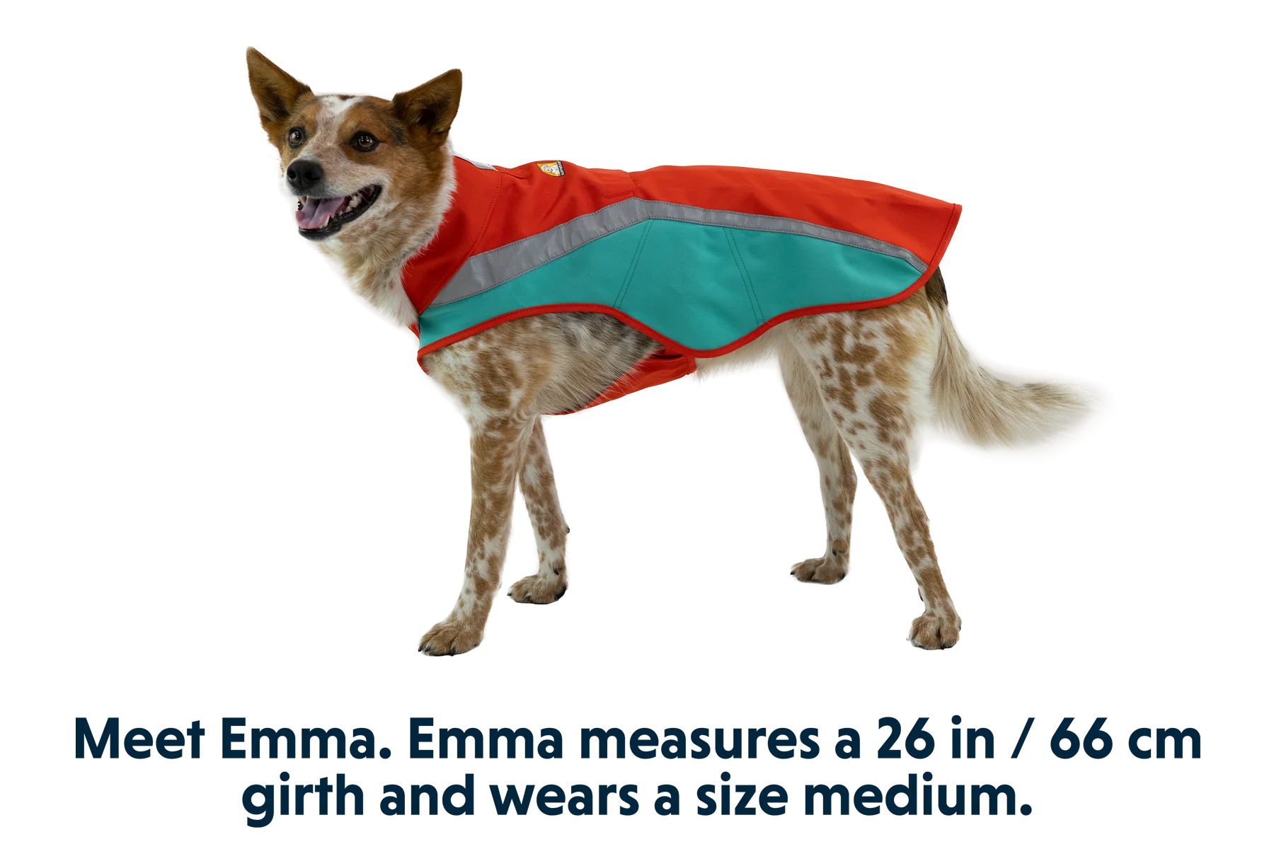 Lumenglow™ High-Vis Hundejacke - Image 20