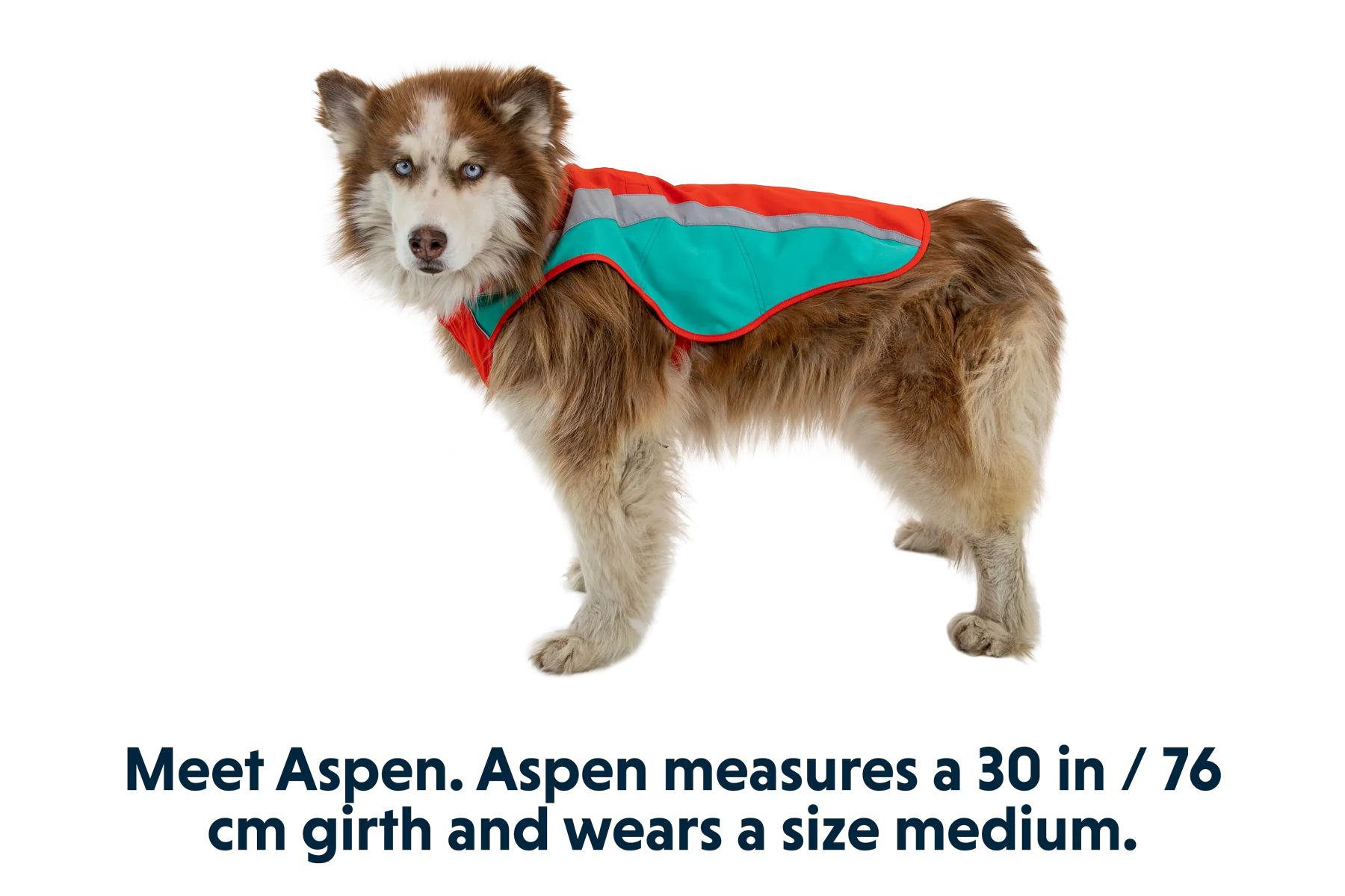 Lumenglow™ High-Vis Hundejacke - Image 21