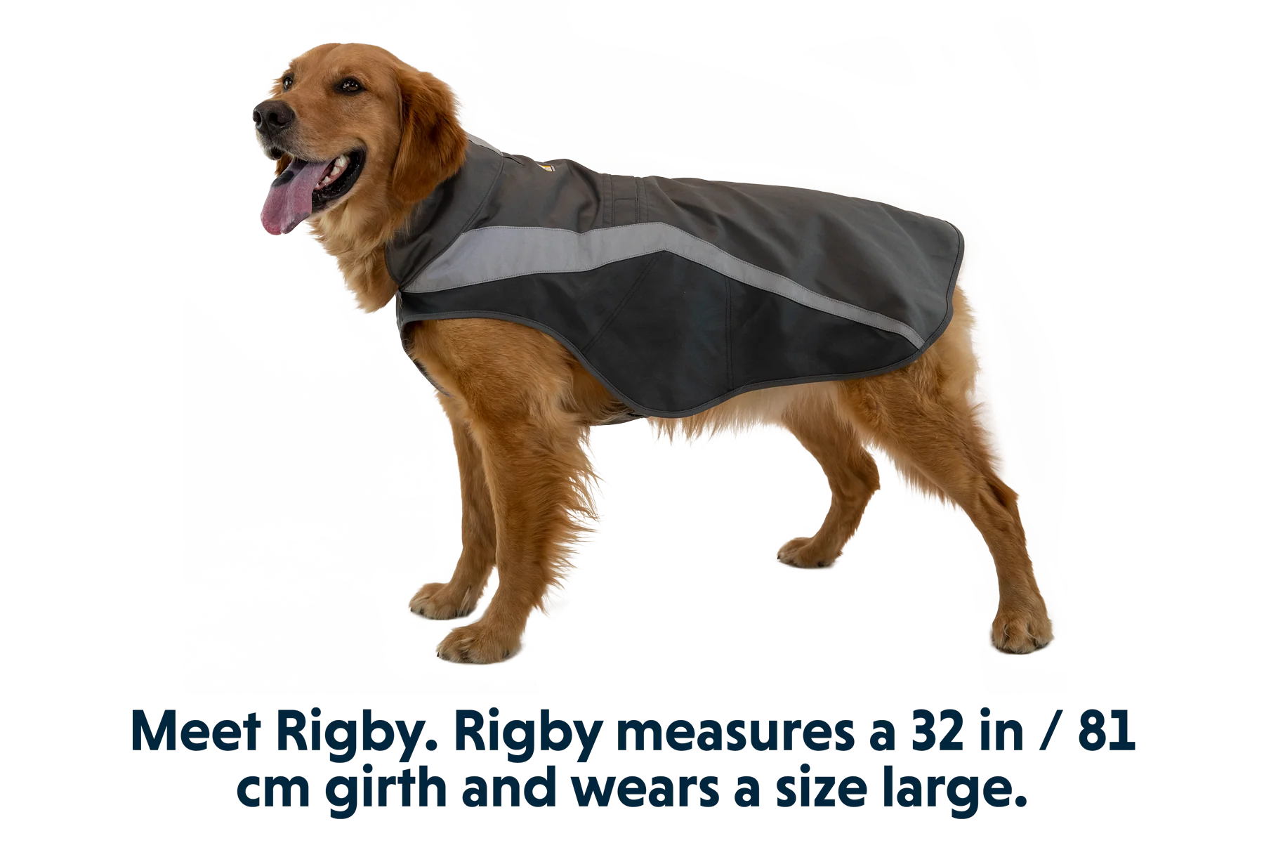 Lumenglow™ High-Vis Hundejacke - Image 31