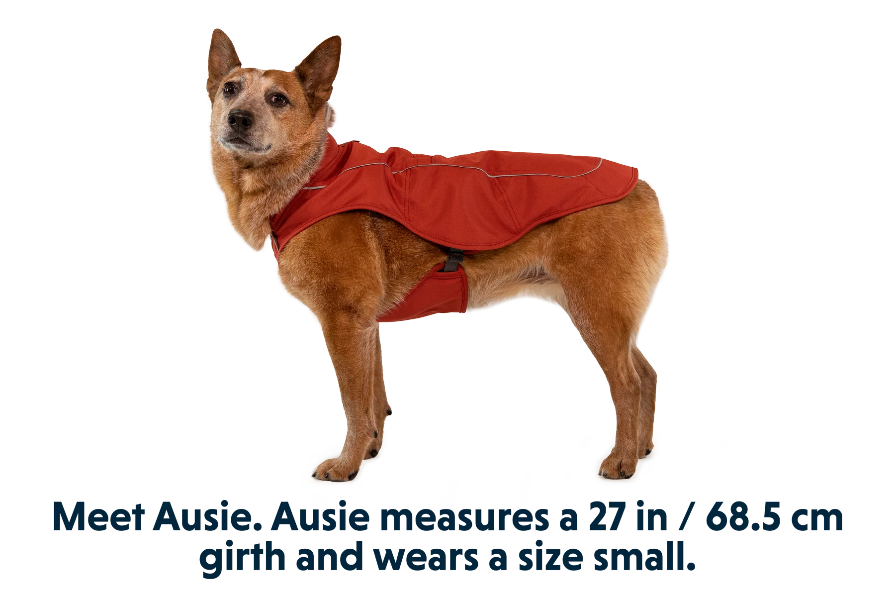 Overcoat™ Hundejacke - Image 16