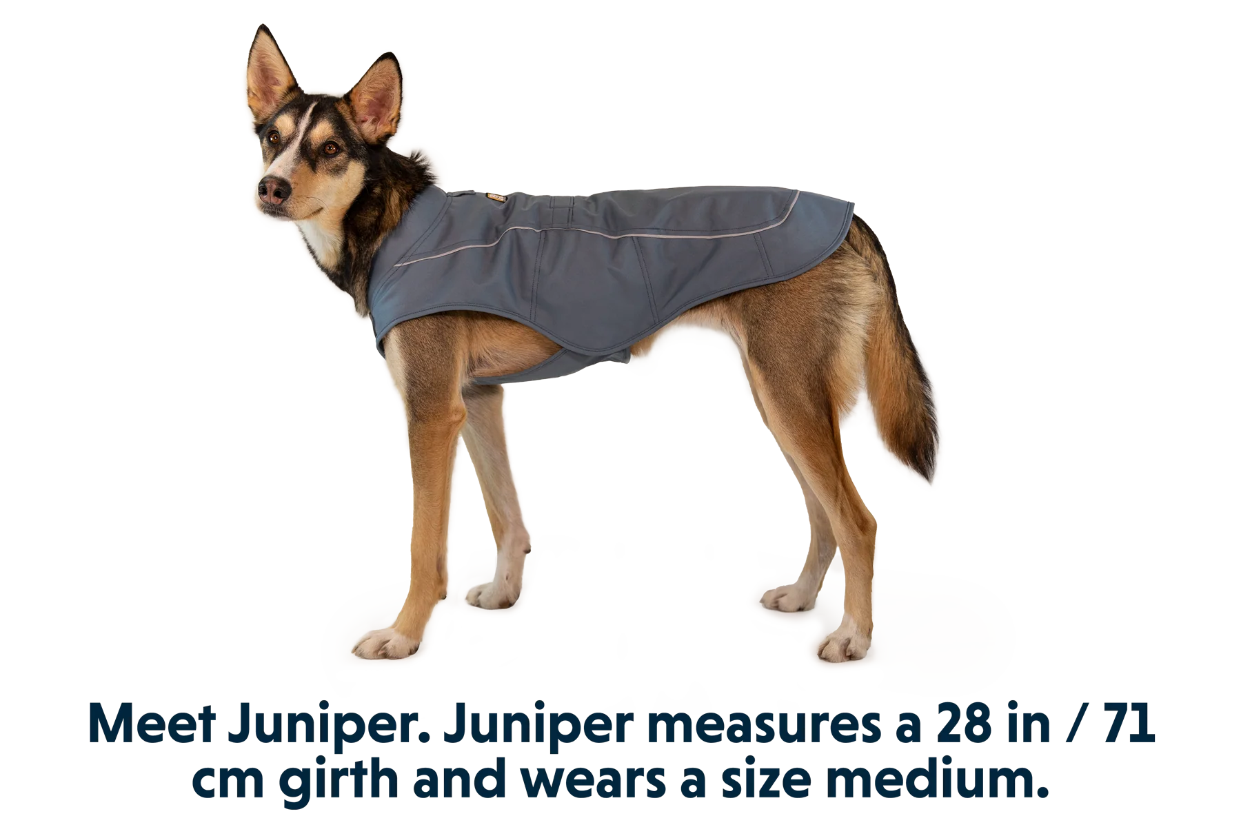 Overcoat™ Hundejacke - Image 8