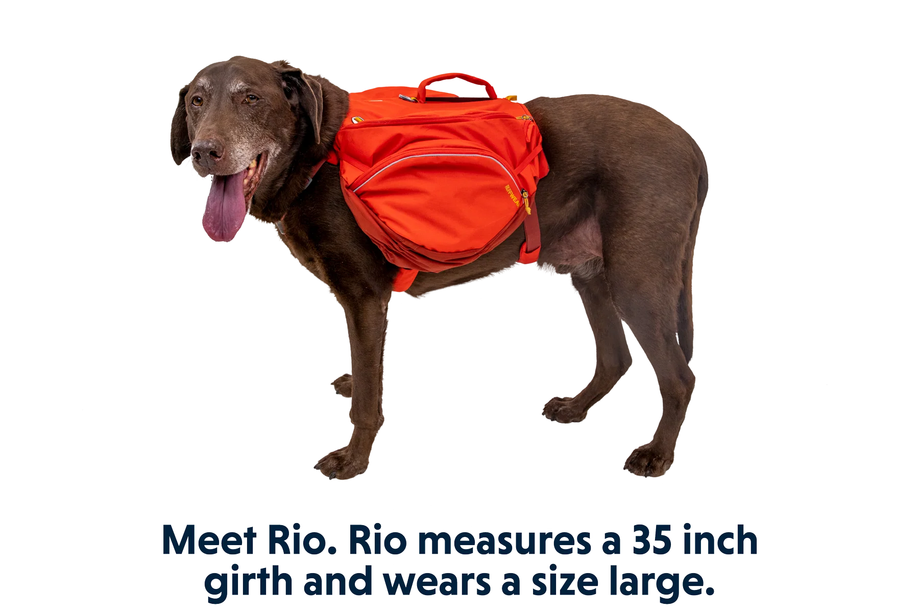 Palisades™ Hunderucksack - Image 24