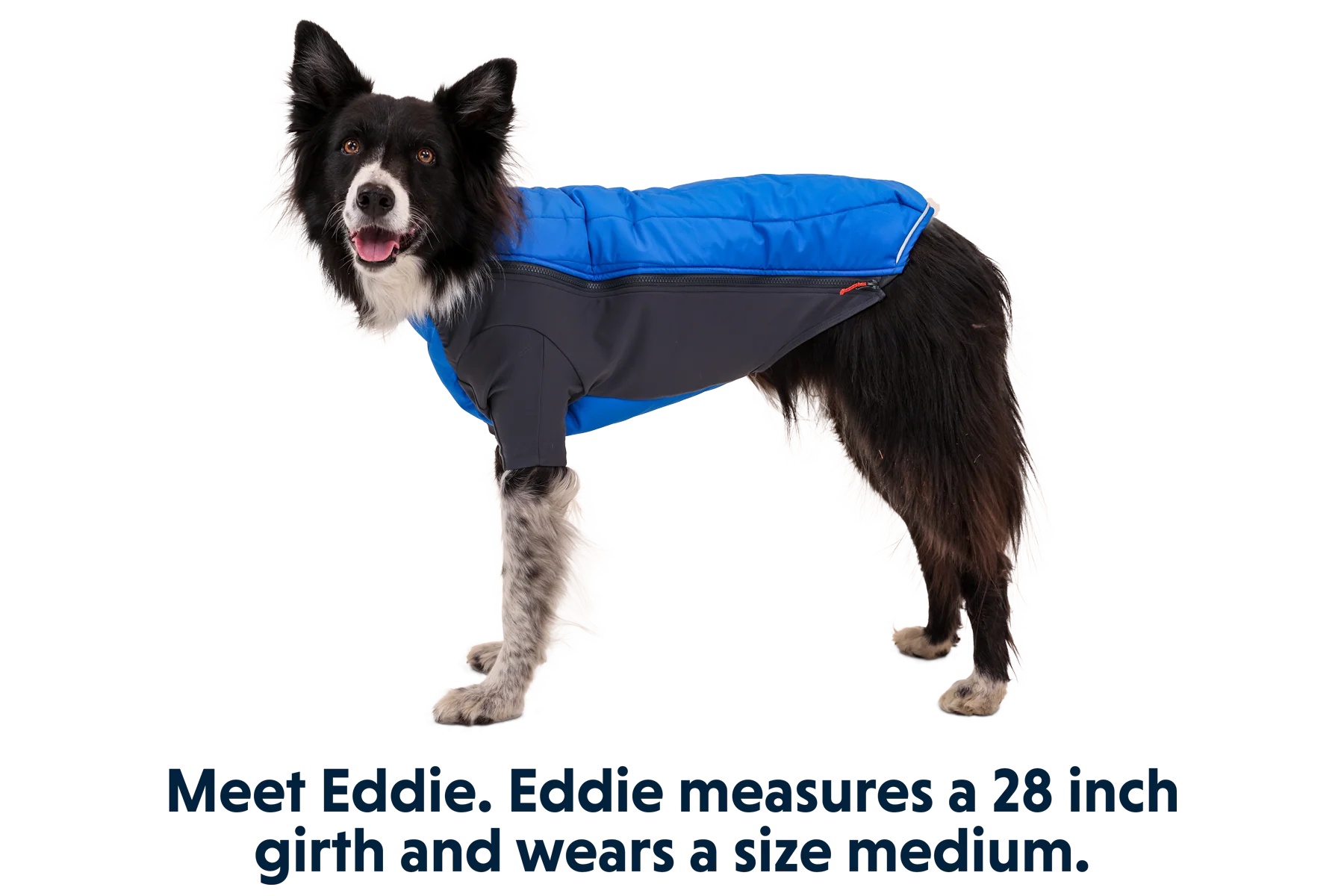 Powder Hound™ Hundejacke - Image 14