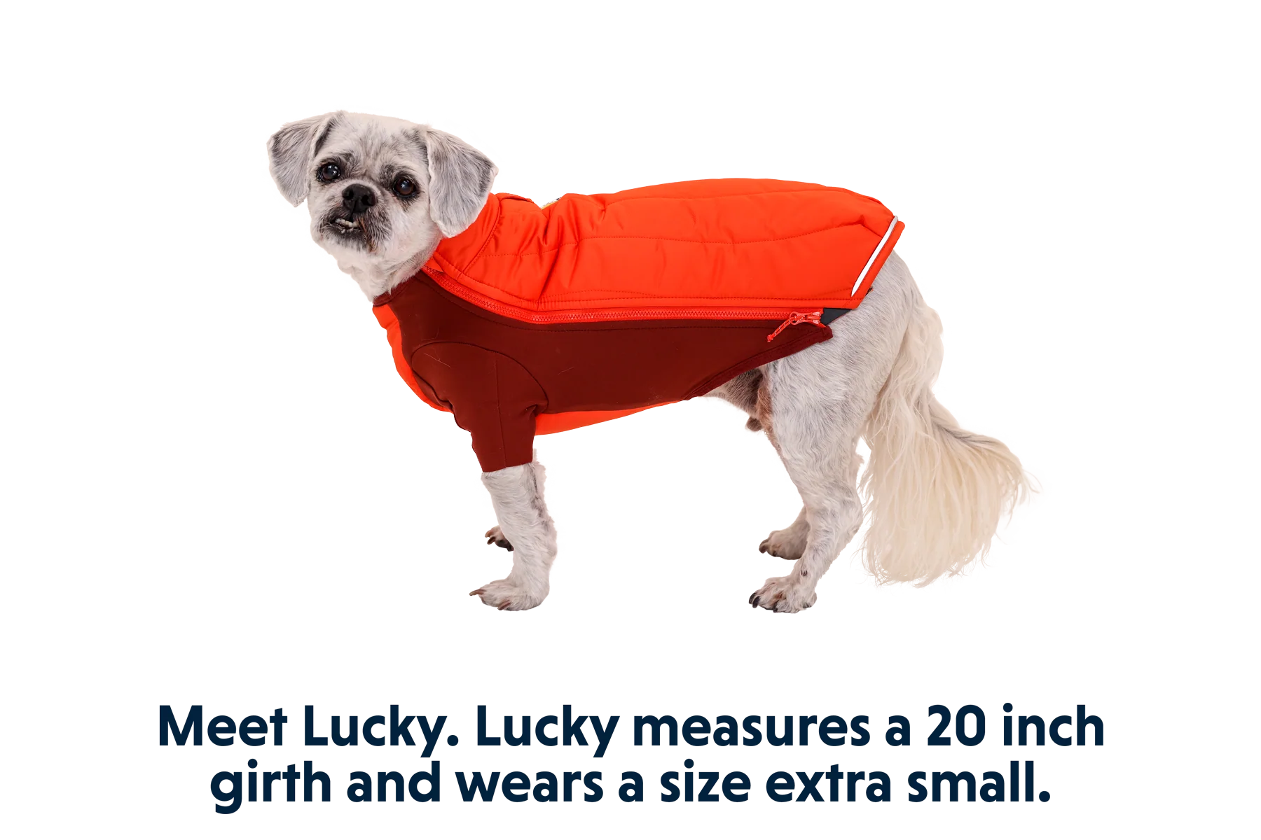 Powder Hound™ Hundejacke - Image 21