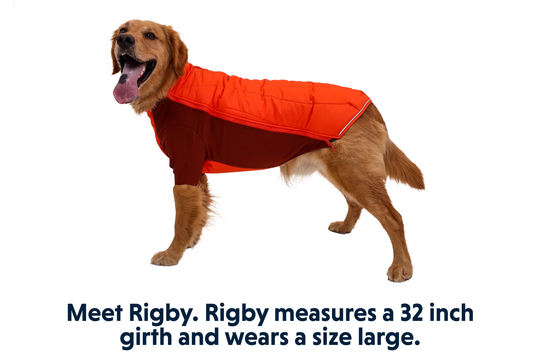 Powder Hound™ Hundejacke - Image 22