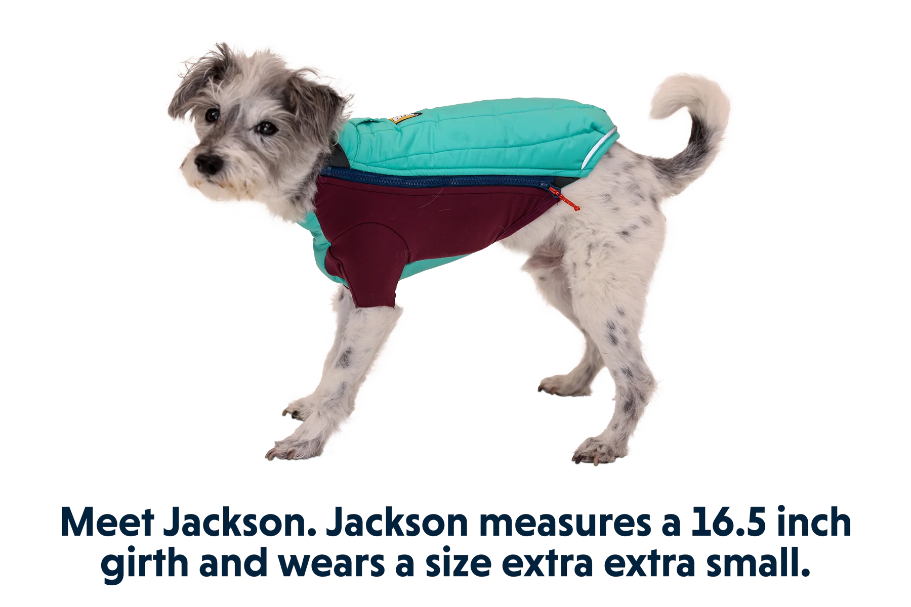 Powder Hound™ Hundejacke - Image 8
