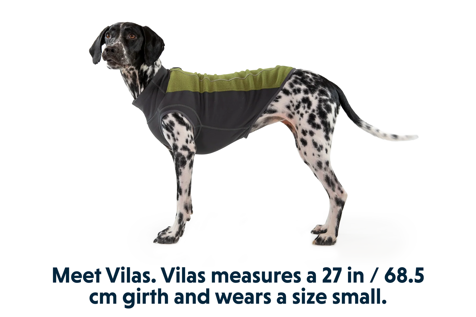 Climate Changer™ Fleece-Pullover Für Hunde - Image 10