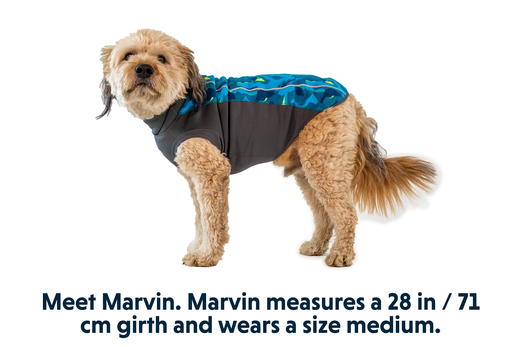 Climate Changer™ Fleece-Pullover Für Hunde - Image 16