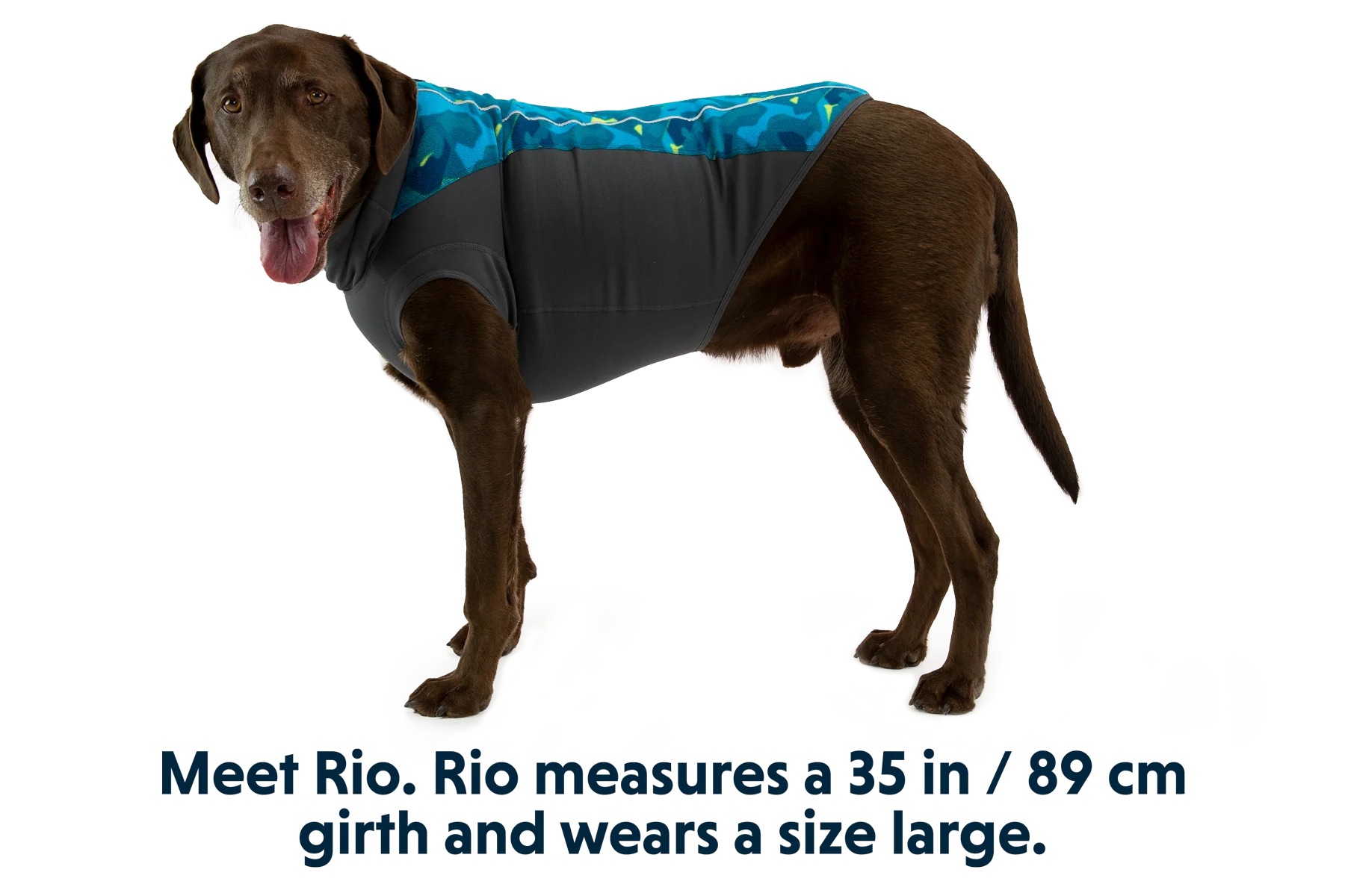 Climate Changer™ Fleece-Pullover Für Hunde - Image 17