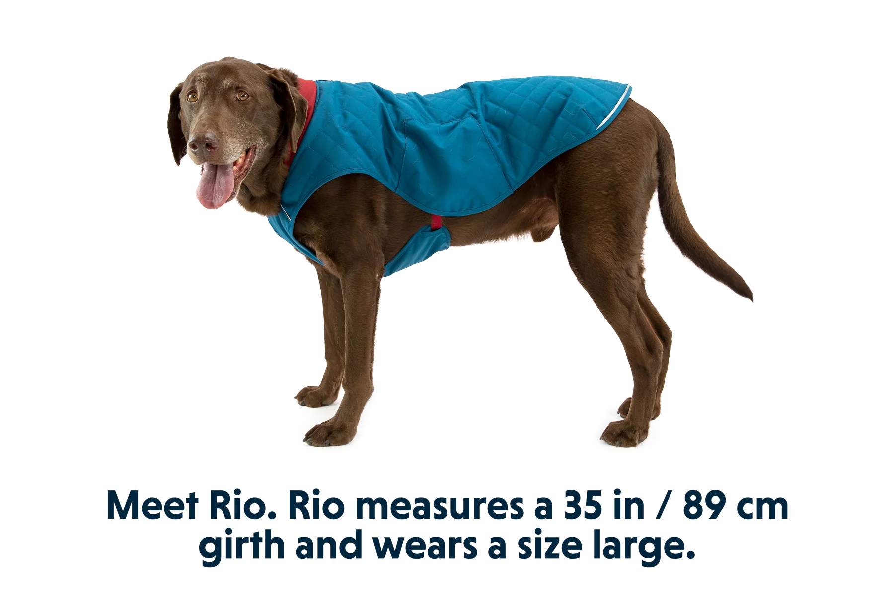 Stumptown™ Gesteppter Hundemantel - Image 10