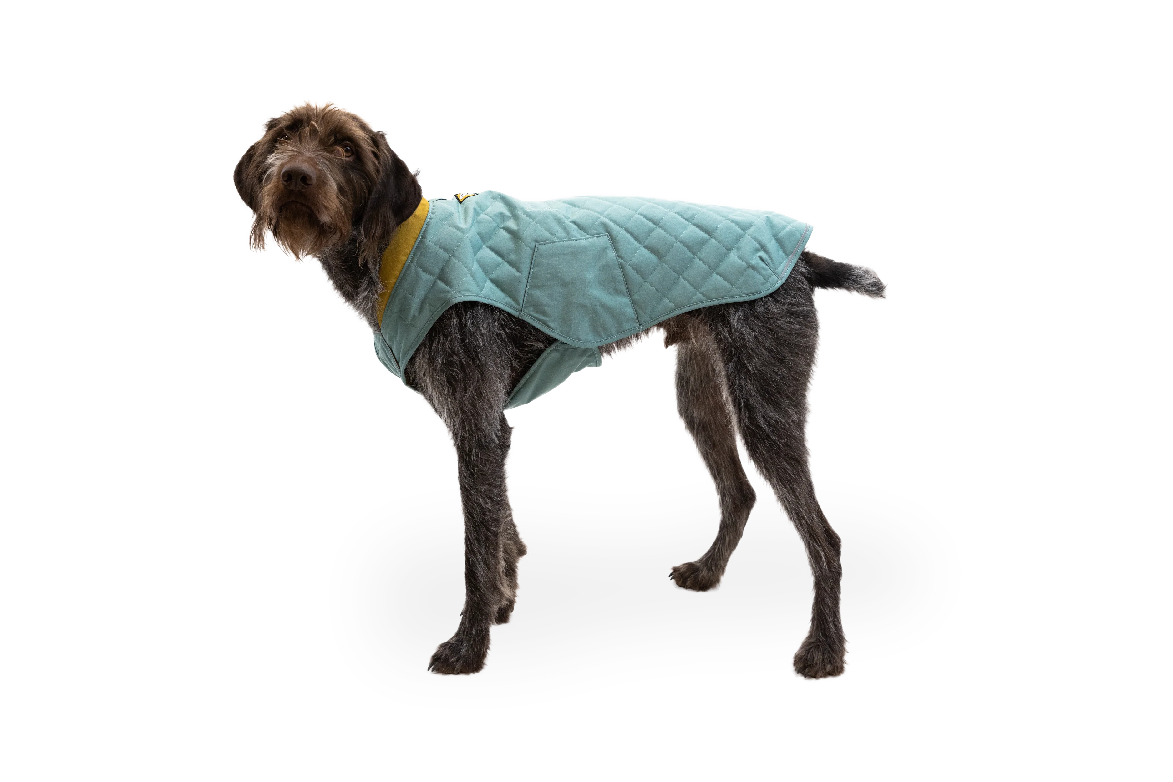 Stumptown™ Gesteppter Hundemantel - Image 20