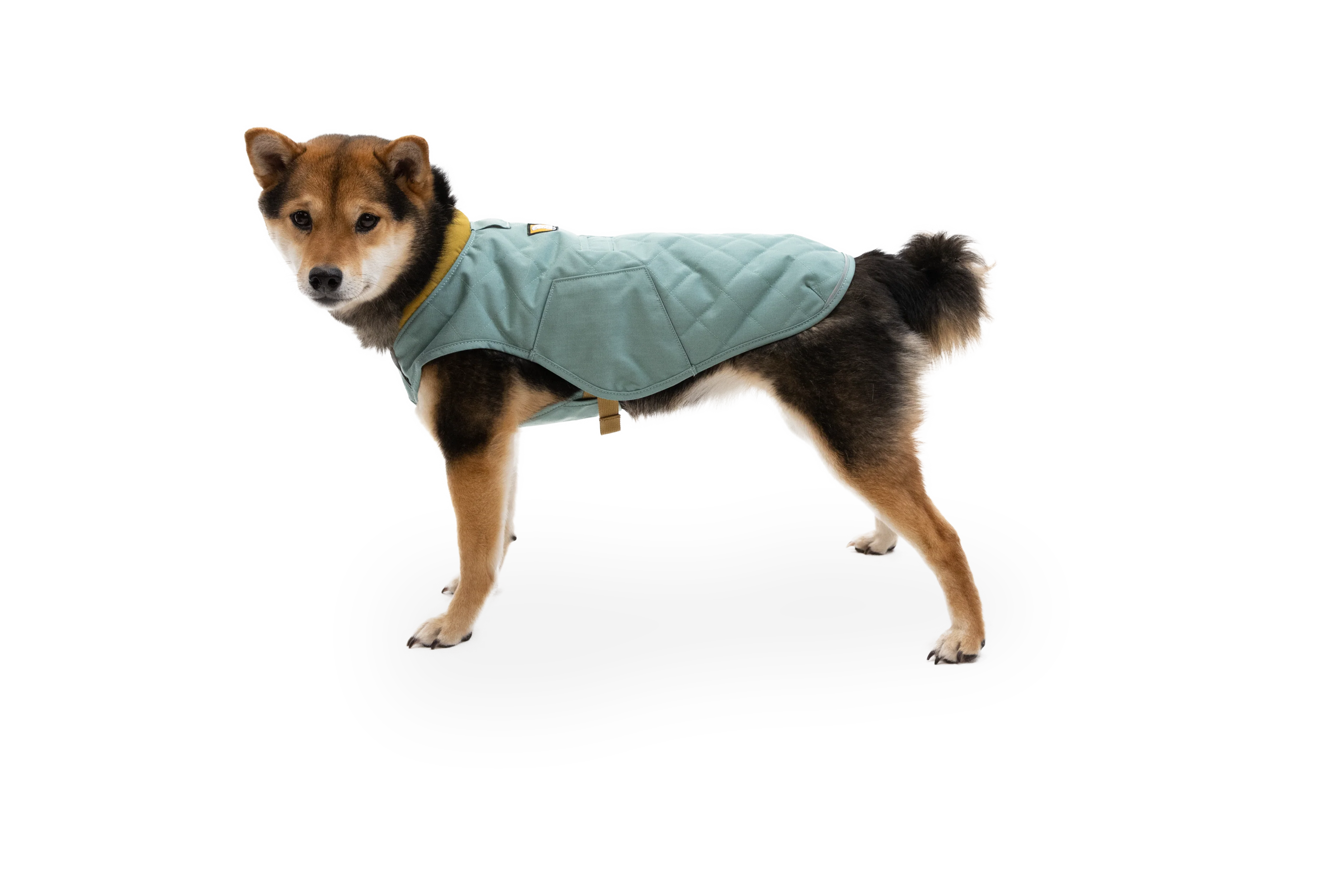 Stumptown™ Gesteppter Hundemantel - Image 28