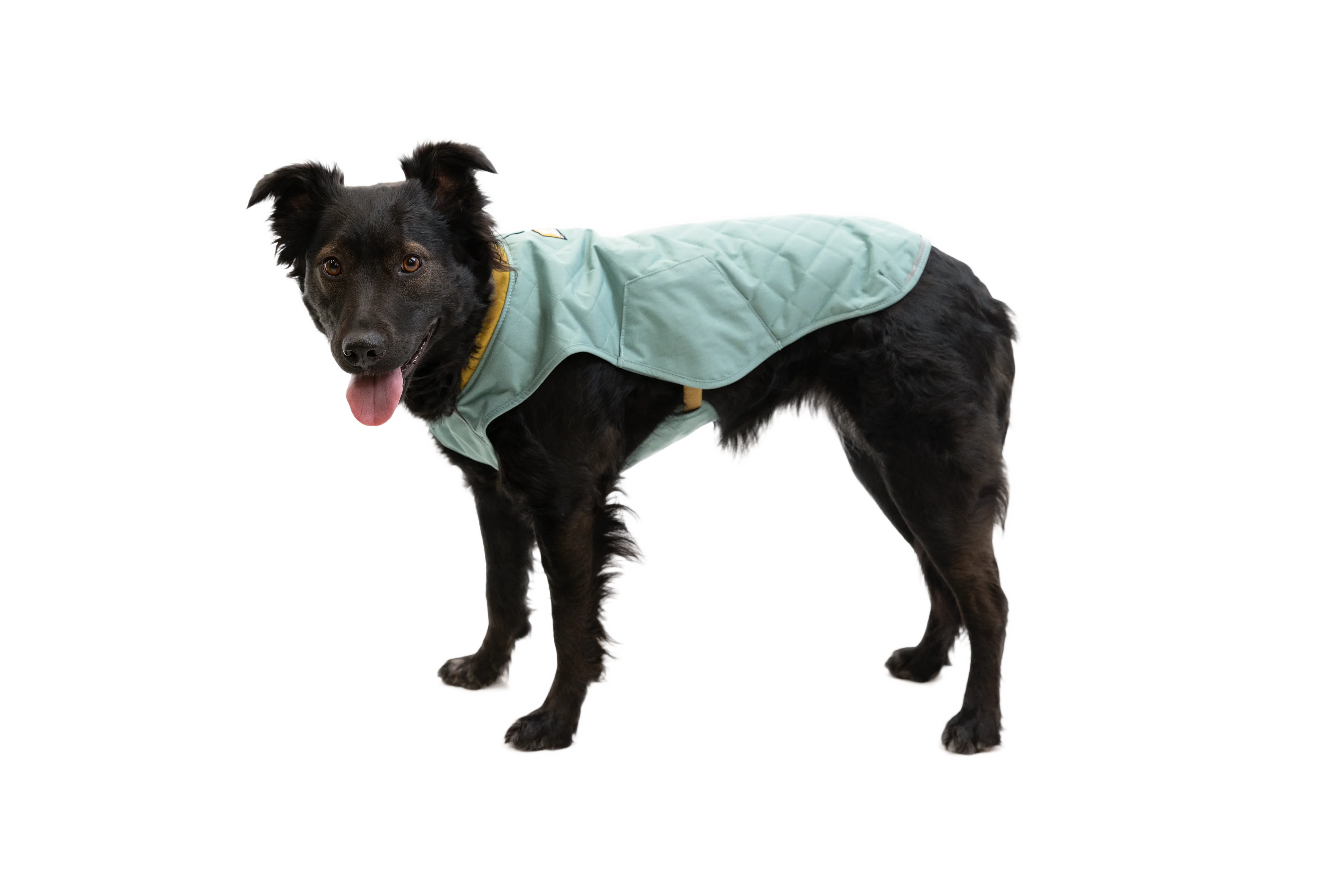 Stumptown™ Gesteppter Hundemantel - Image 29