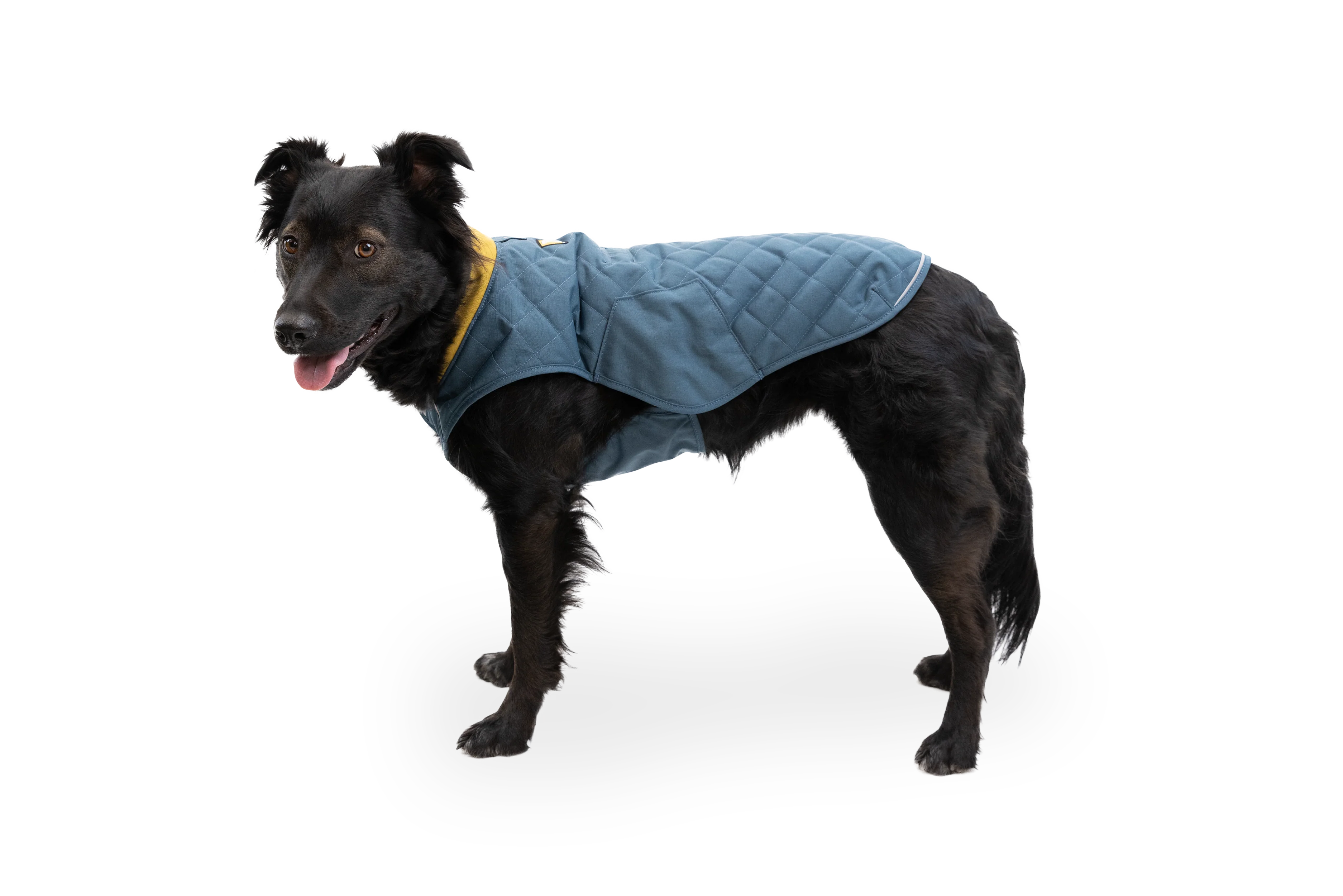 Stumptown™ Gesteppter Hundemantel - Image 31