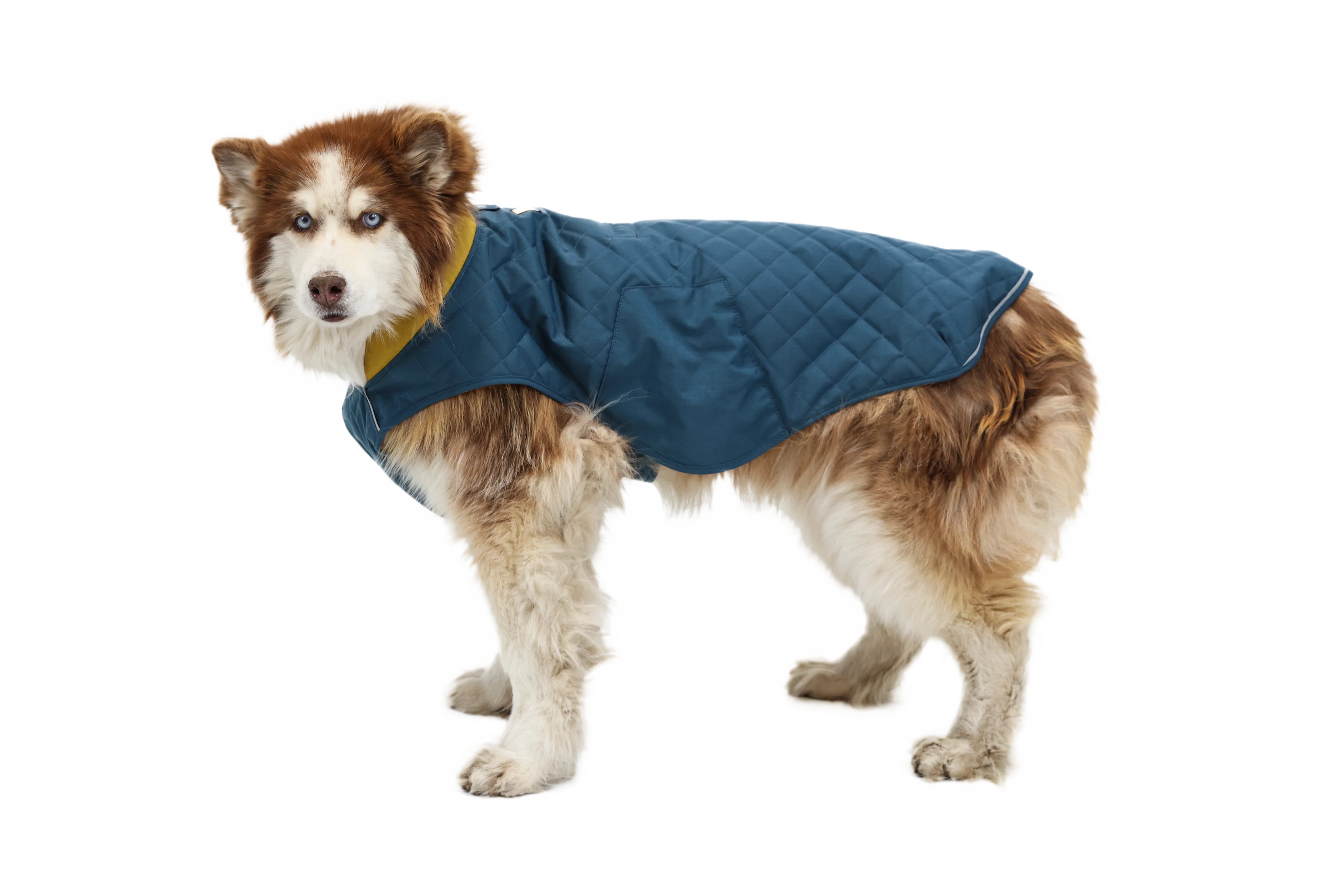 Stumptown™ Gesteppter Hundemantel - Image 41
