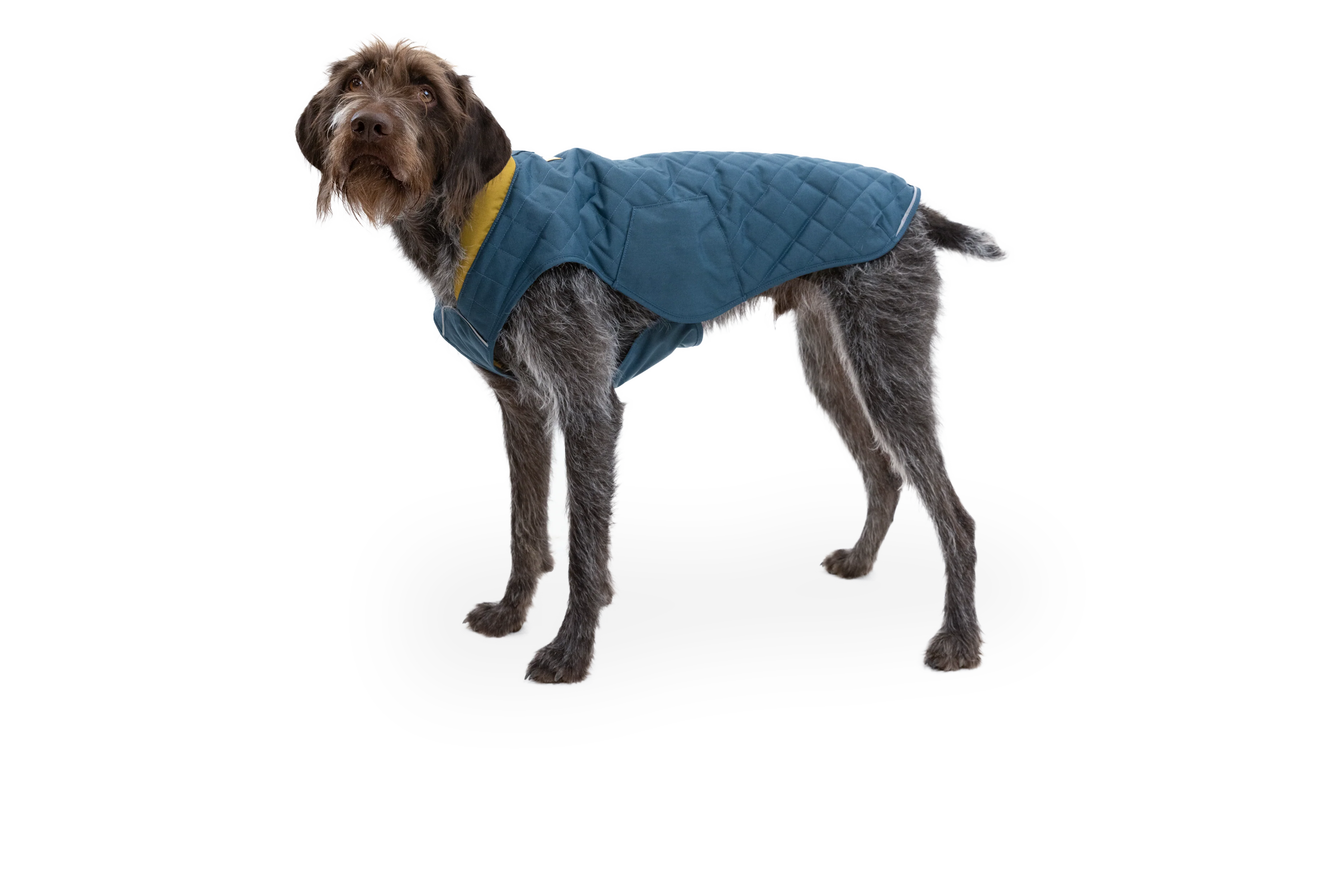 Stumptown™ Gesteppter Hundemantel - Image 42