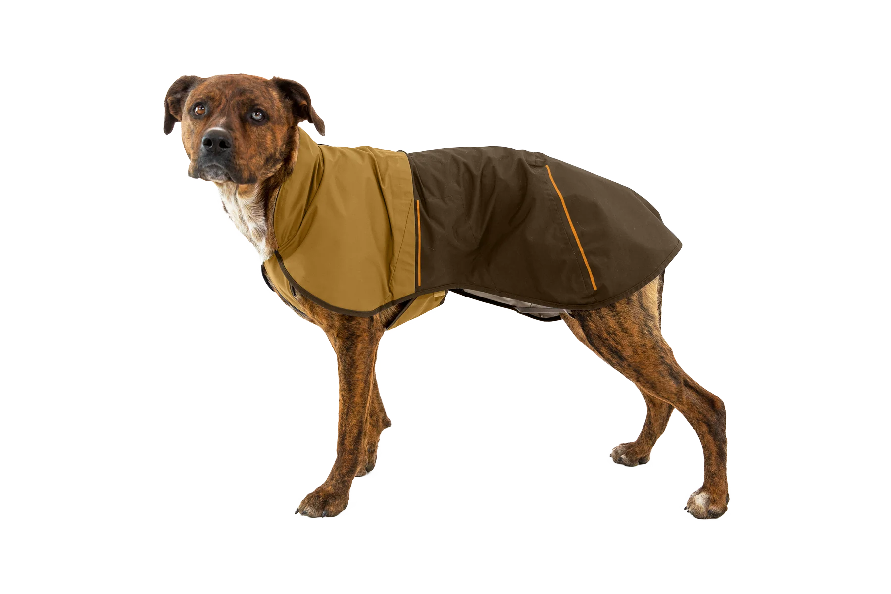 Sun Shower™ Regenmantel Für Hunde - Image 38