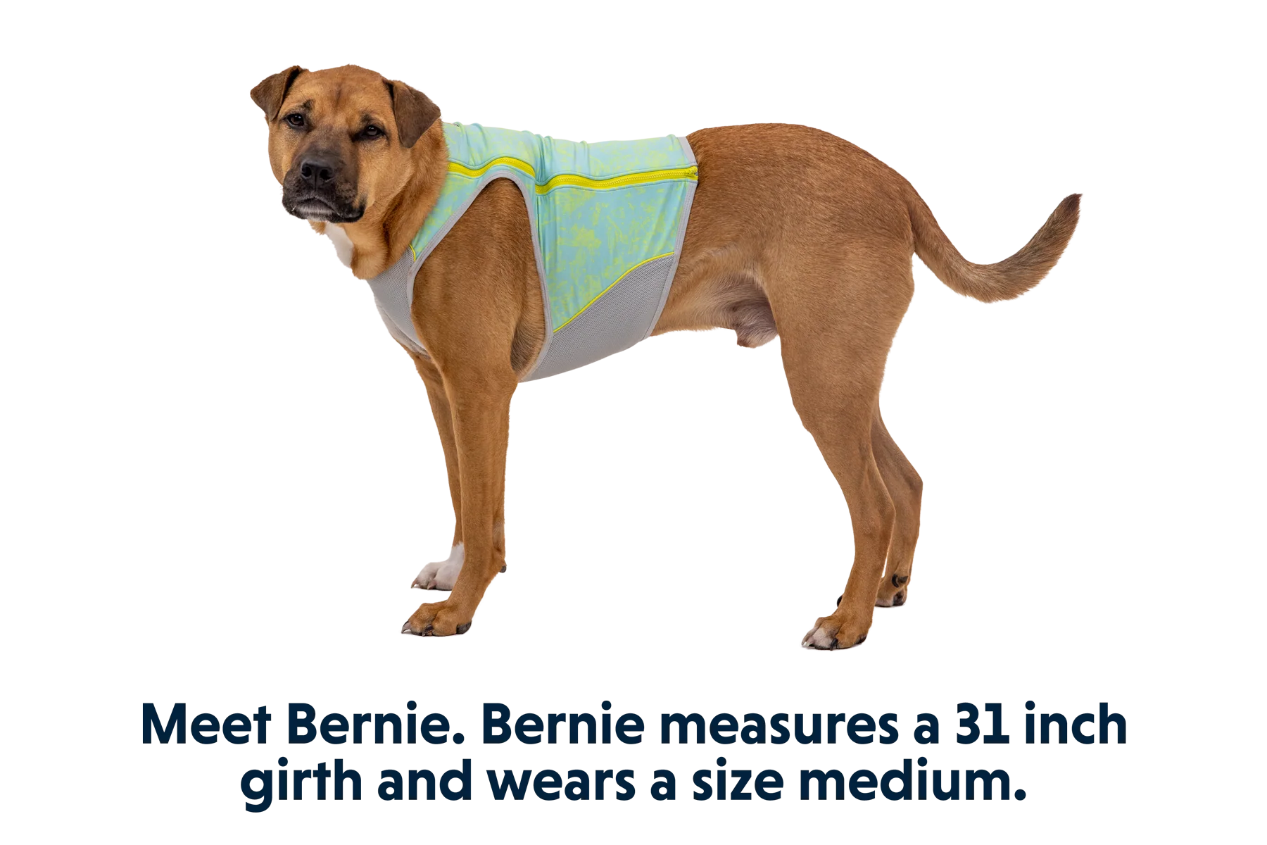 Swamp Cooler Zip™ Kühlweste für Hunde - Image 16