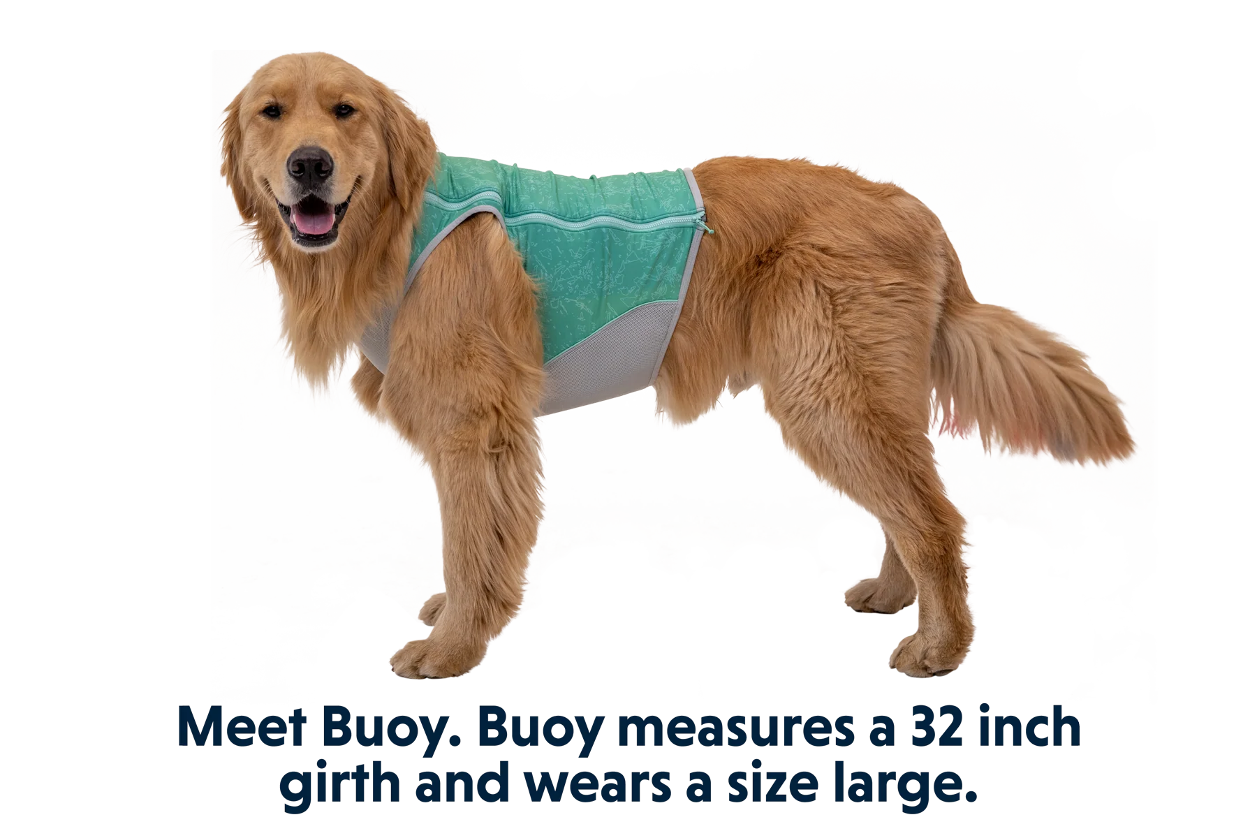 Swamp Cooler Zip™ Kühlweste für Hunde - Image 8