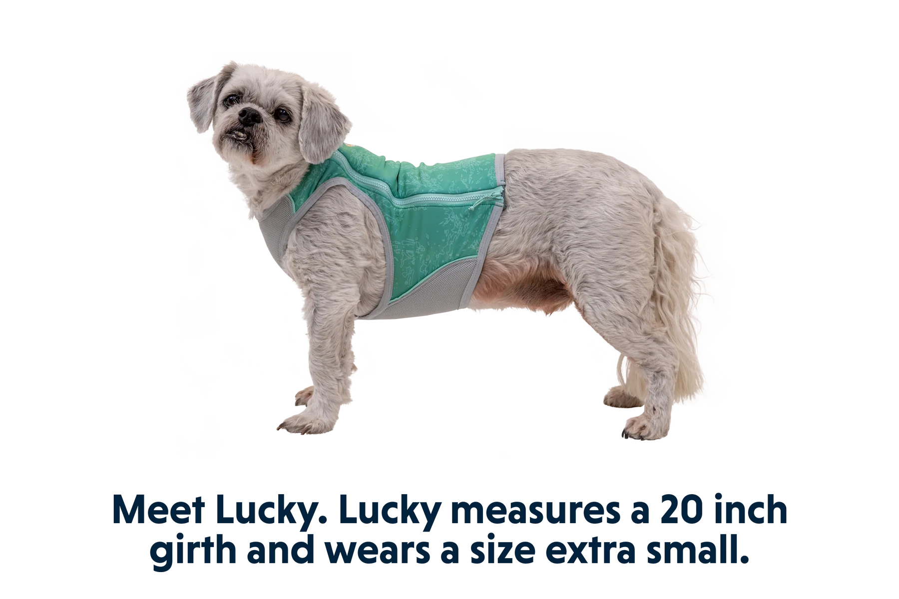 Swamp Cooler Zip™ Kühlweste für Hunde - Image 9