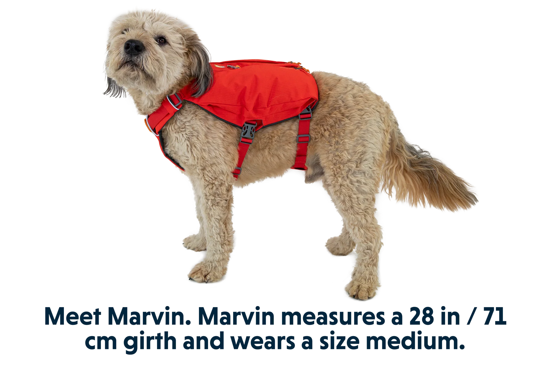 Switchbak™ Hundegeschirr - Image 21