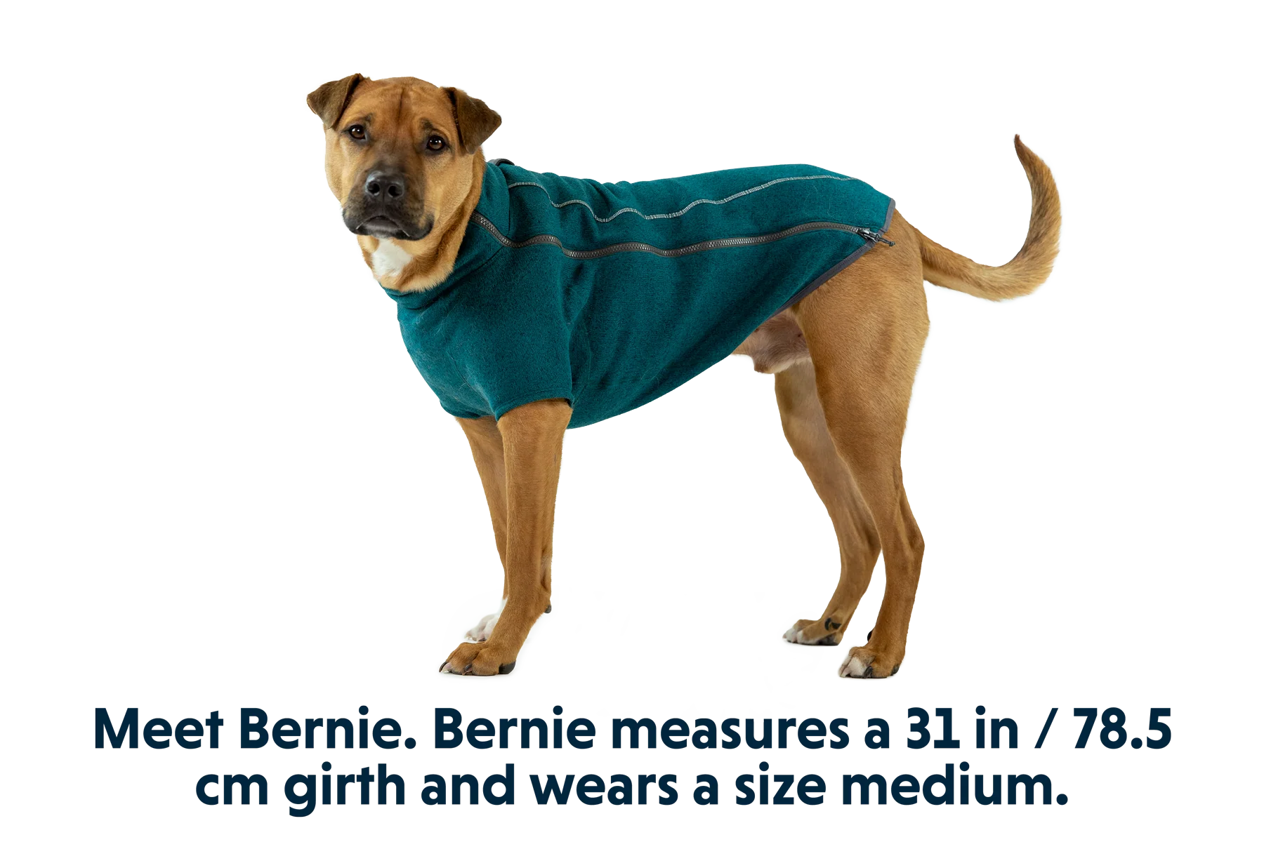 Fernie™ Hundepullover - Image 12