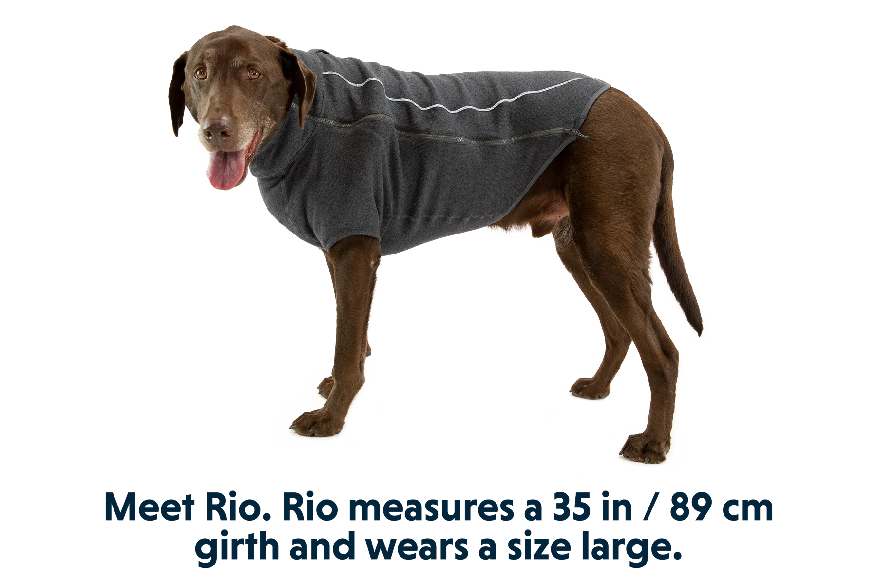 Fernie™ Hundepullover - Image 5
