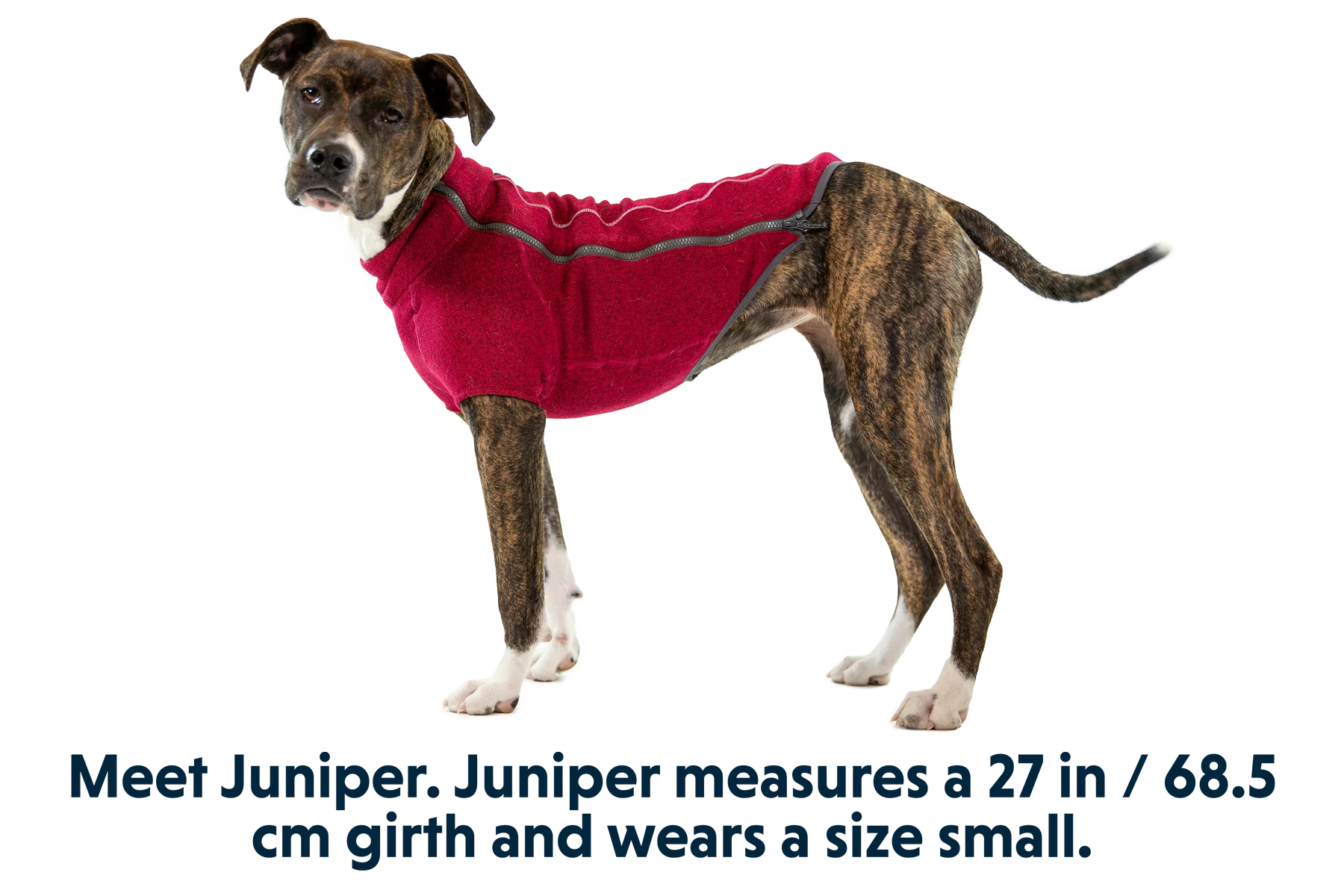 Fernie™ Hundepullover - Image 9